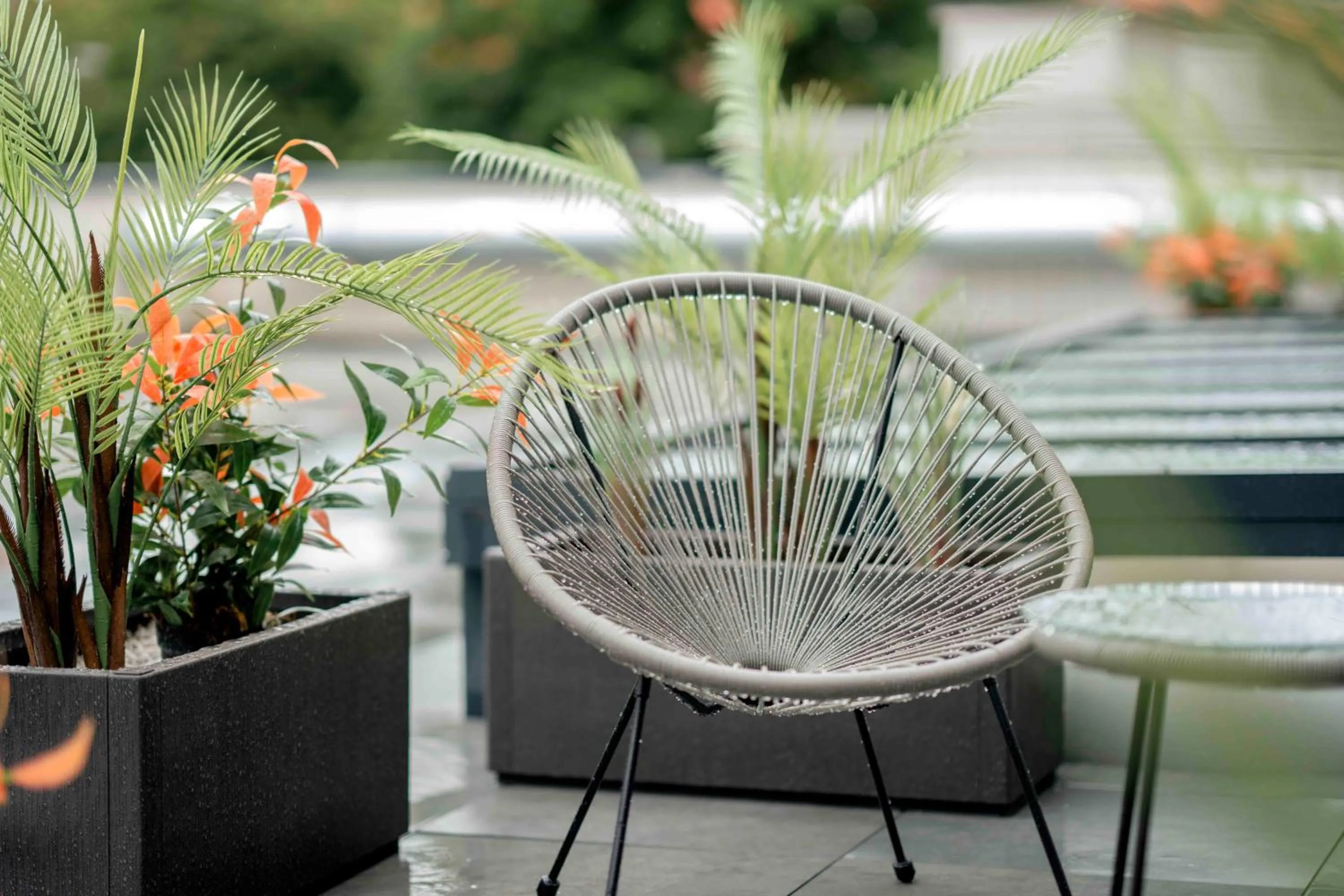 Balcony/Terrace in Central Hotel & Lounge Adult Only