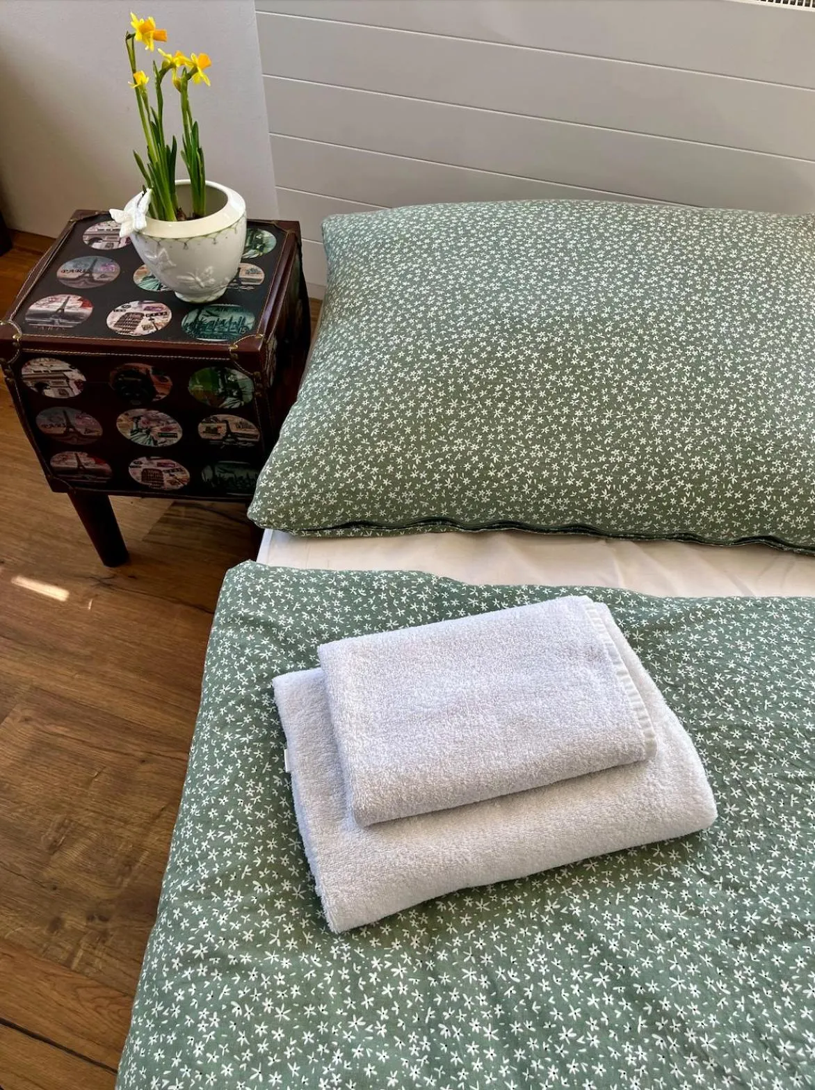 Bed in Ubytování Ostende - penzion