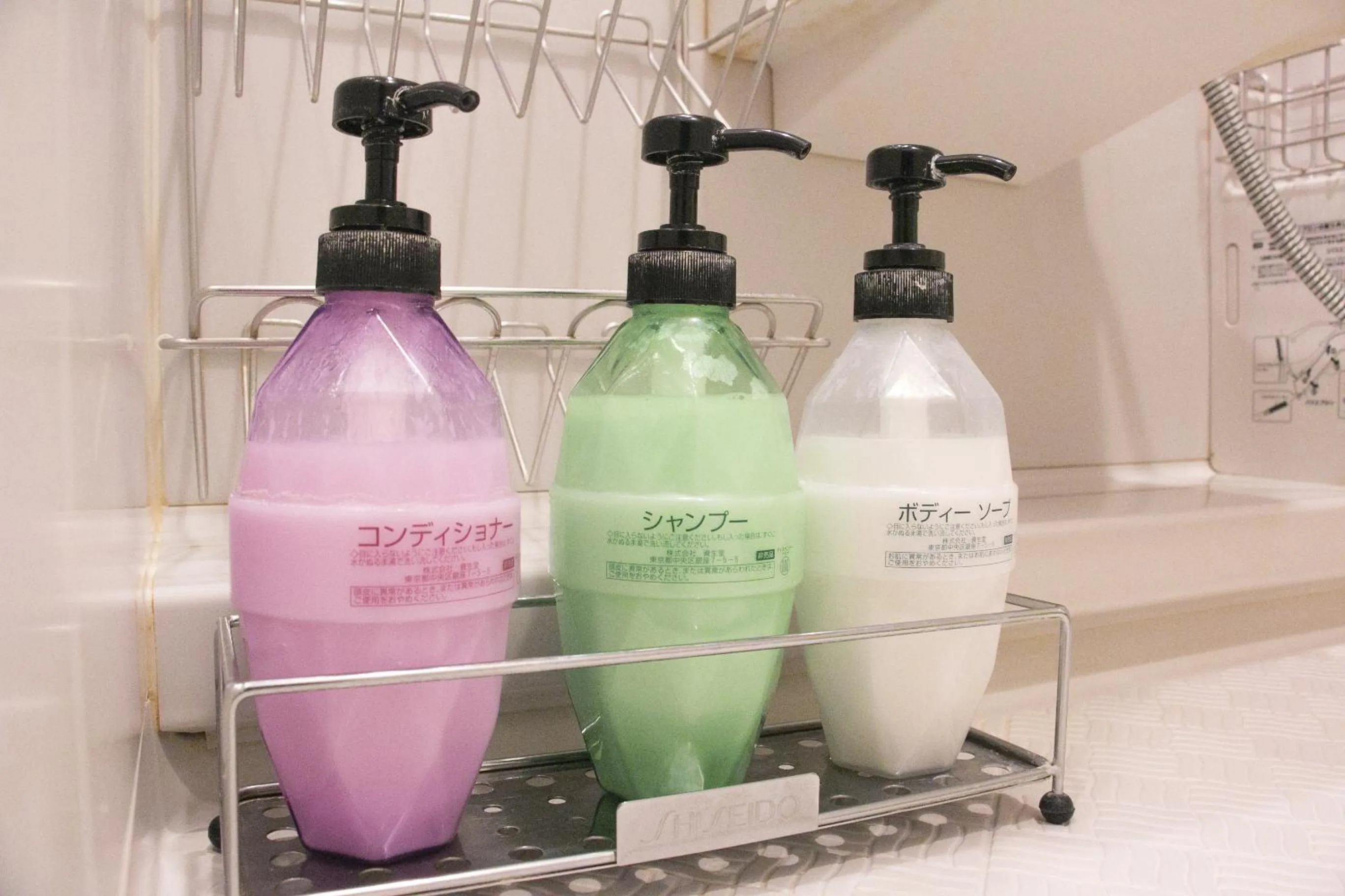 Decorative detail in Grand Park Hotel EX Fukushimaebisu