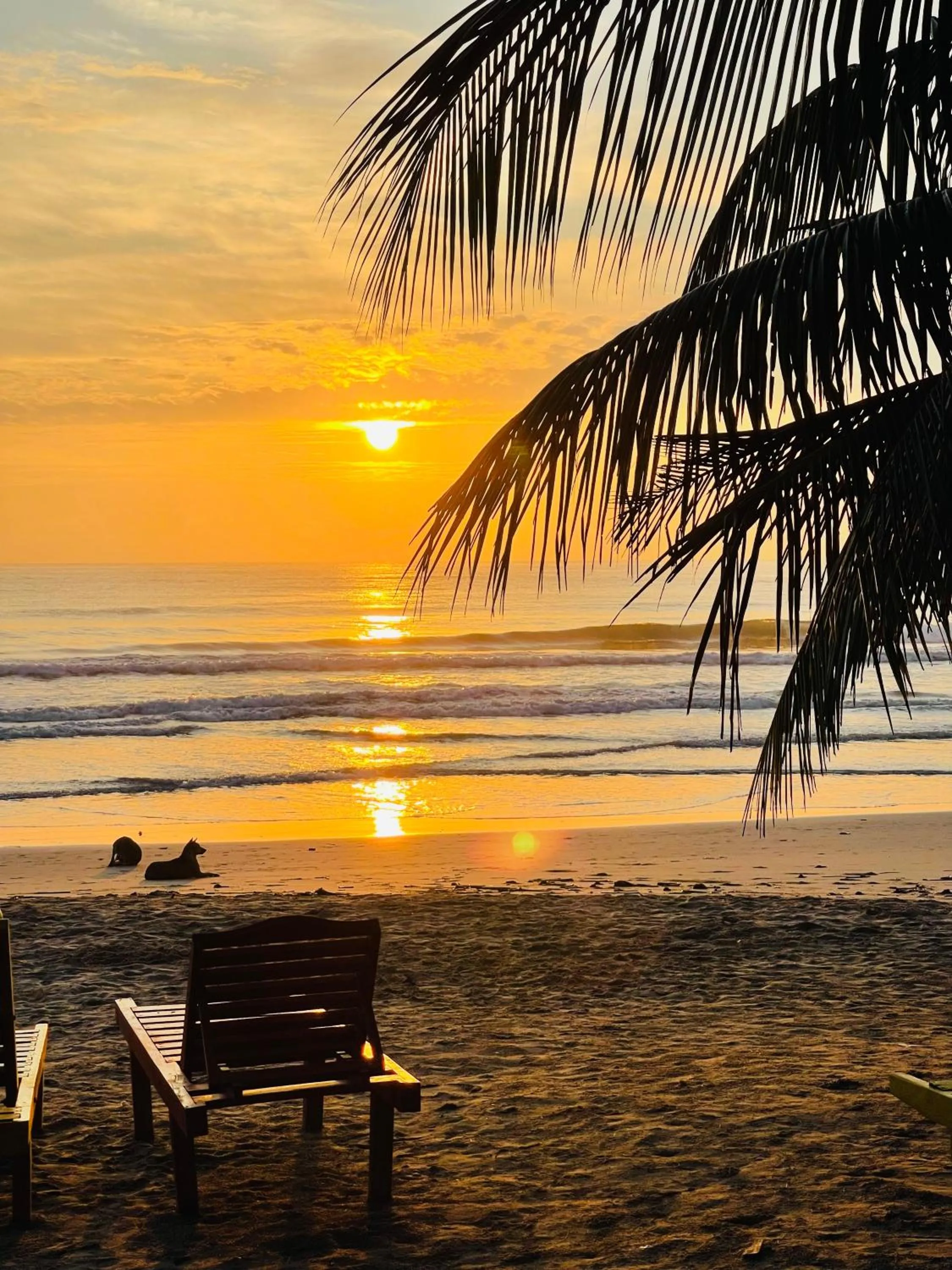 Beach in Golden Beach Cottages