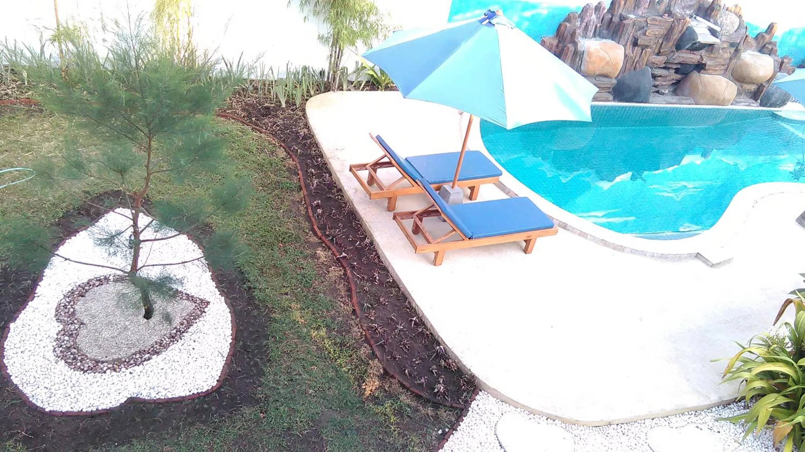 Garden in Villa Rika