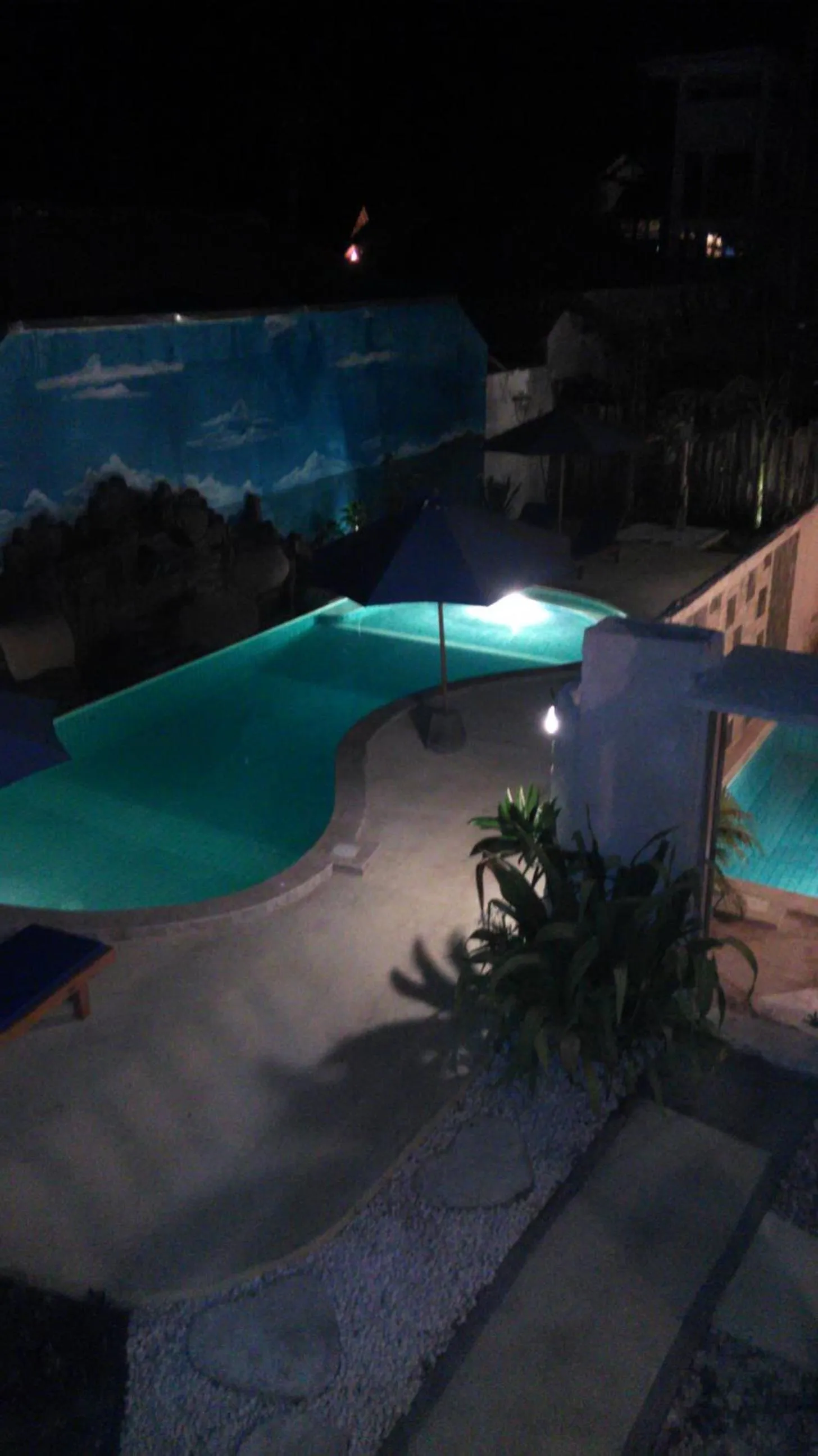 Swimming pool in Villa Rika