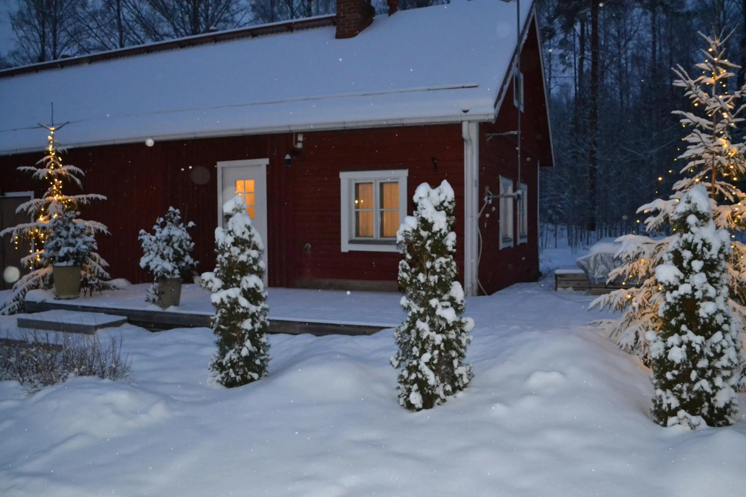 Winter in Salpalinjan Hovi