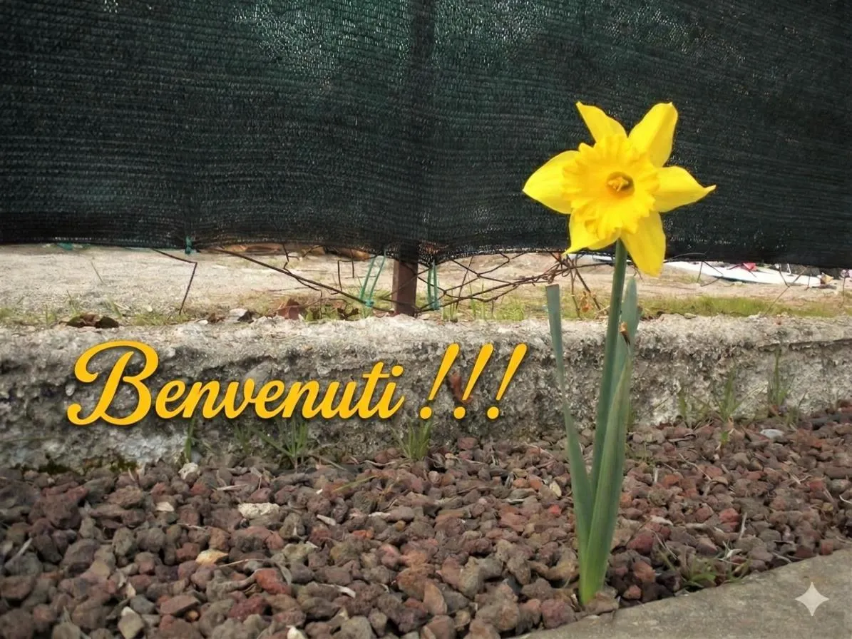 Decorative detail in R&B Casa Wanda since 1999