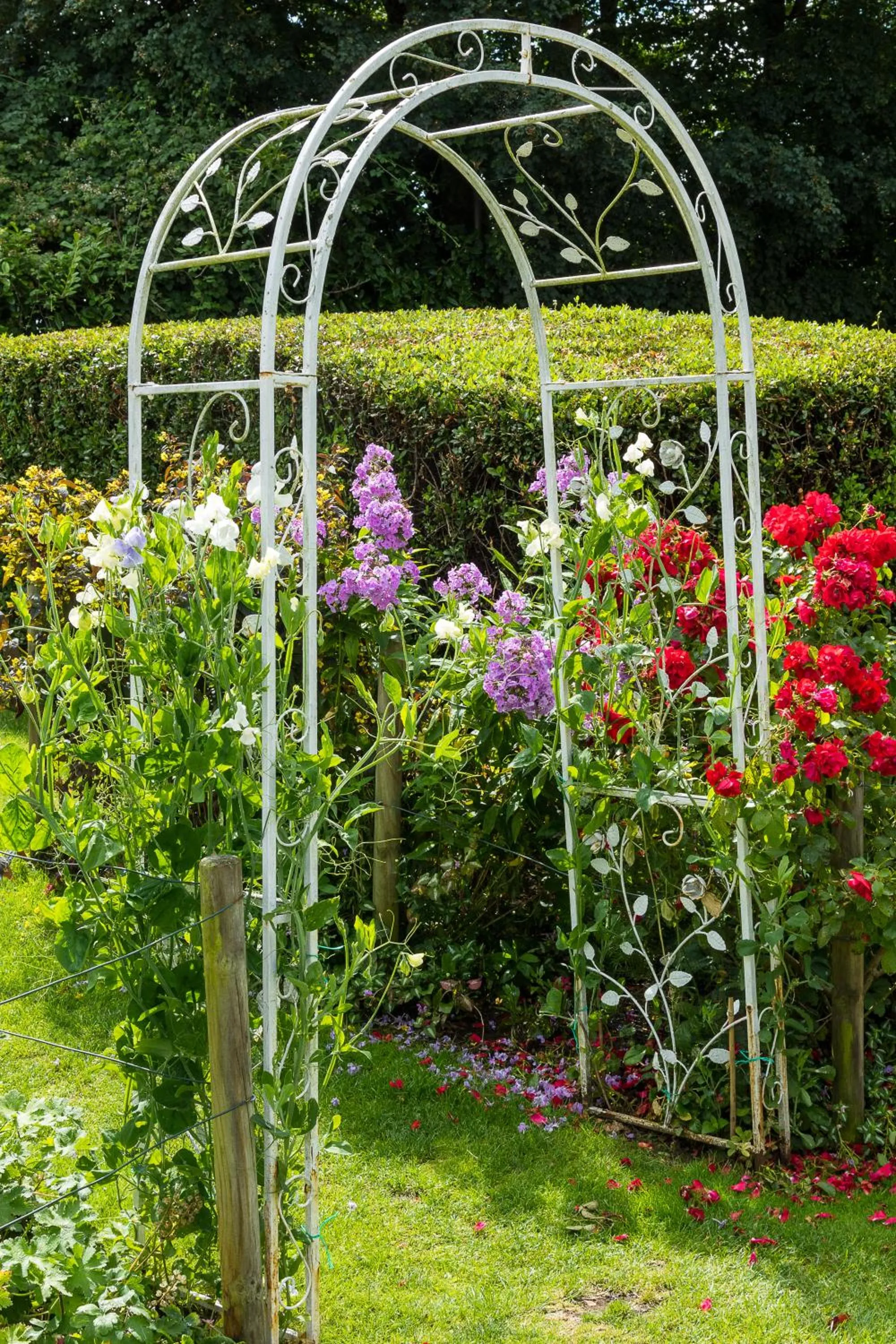 Garden in The Lordleaze Hotel And Restaurant