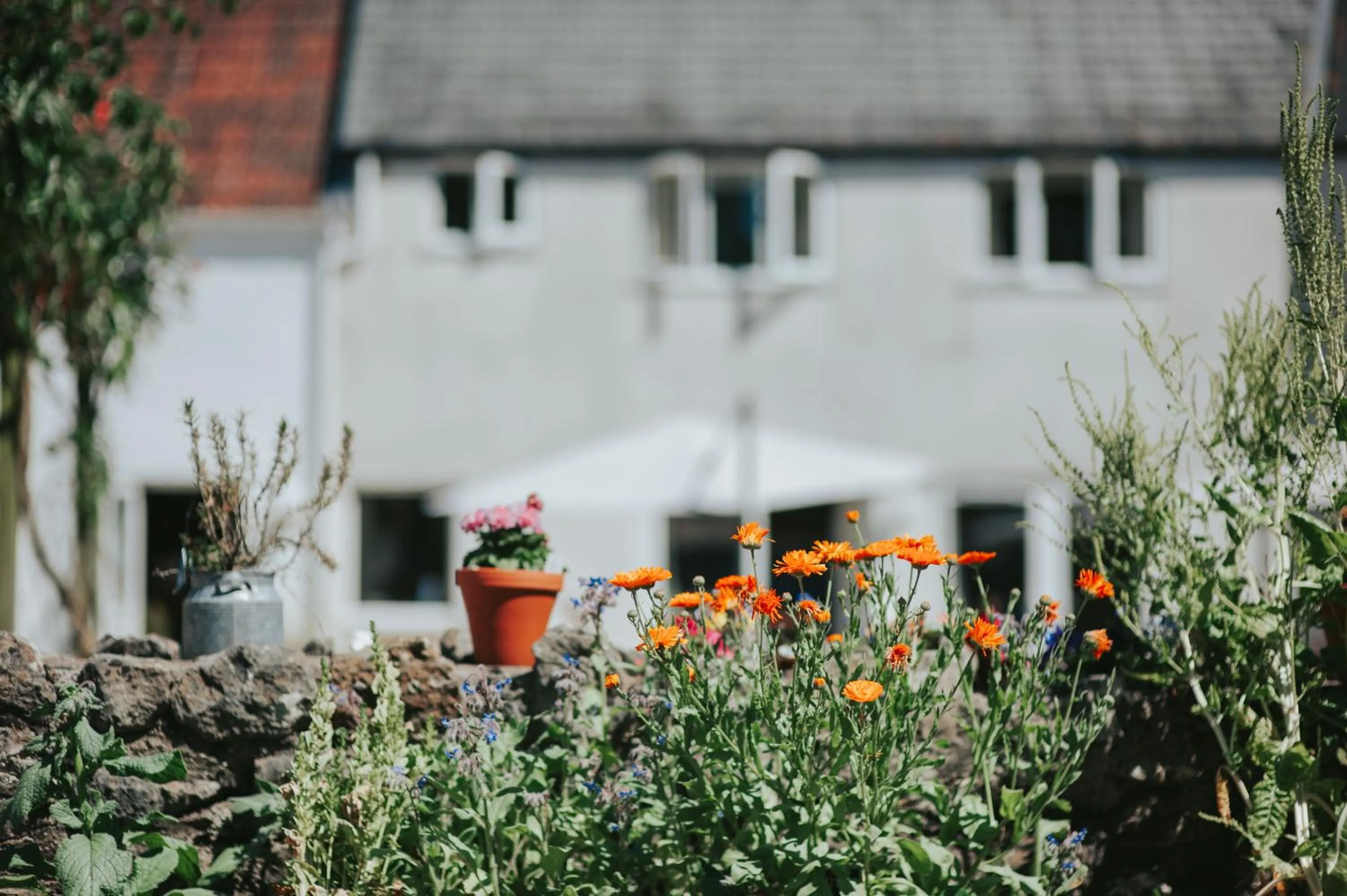Garden in The Lordleaze Hotel And Restaurant