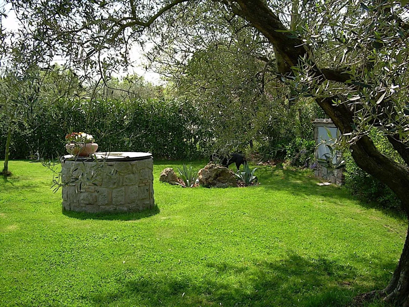 Bed and breakfast Ellera Viterbo