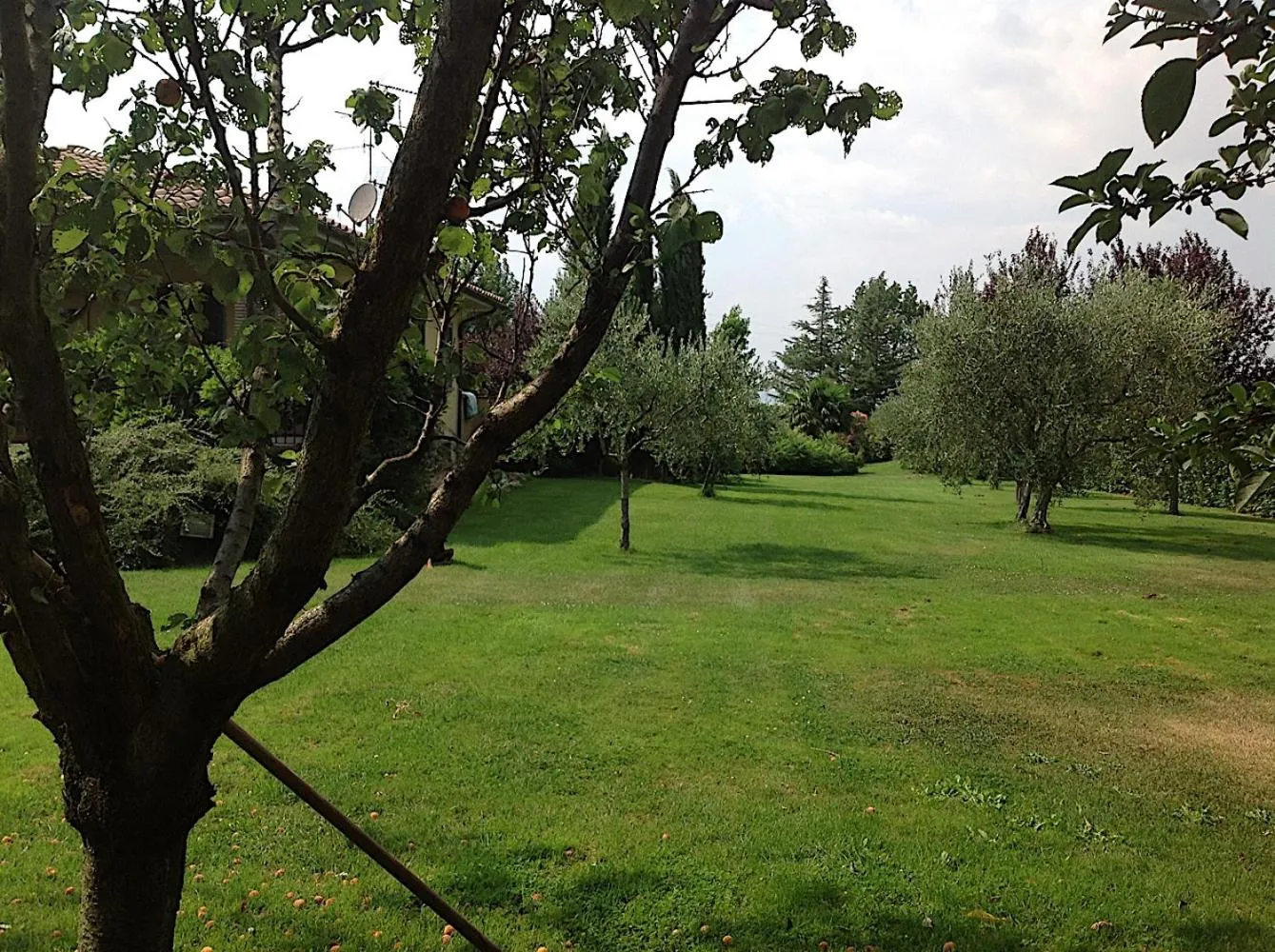 Bed and breakfast Ellera Viterbo