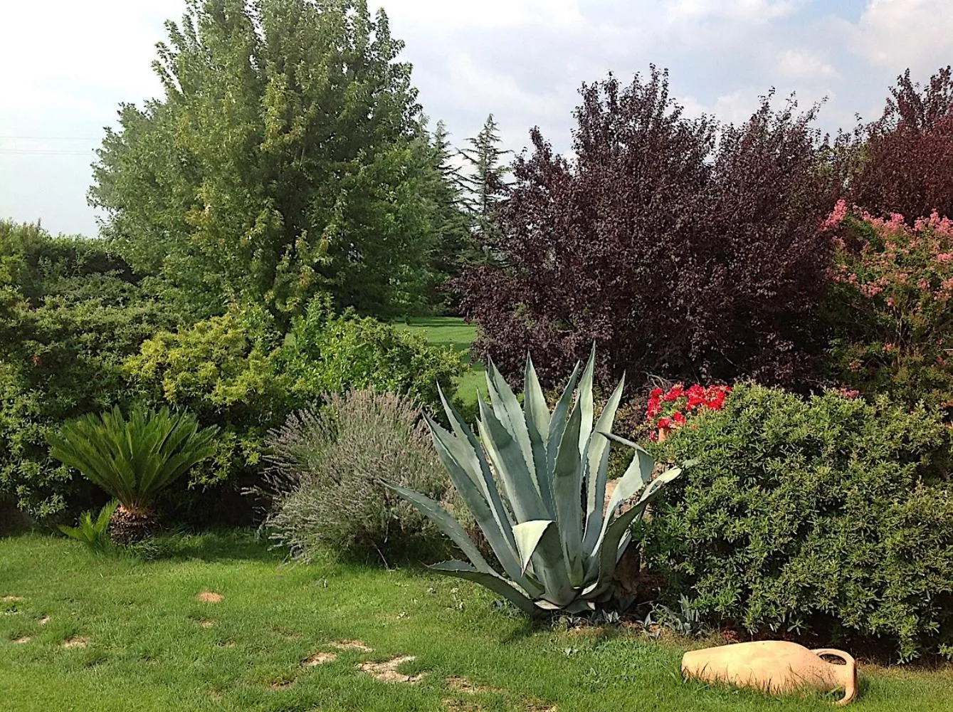 Bed and breakfast Ellera Viterbo