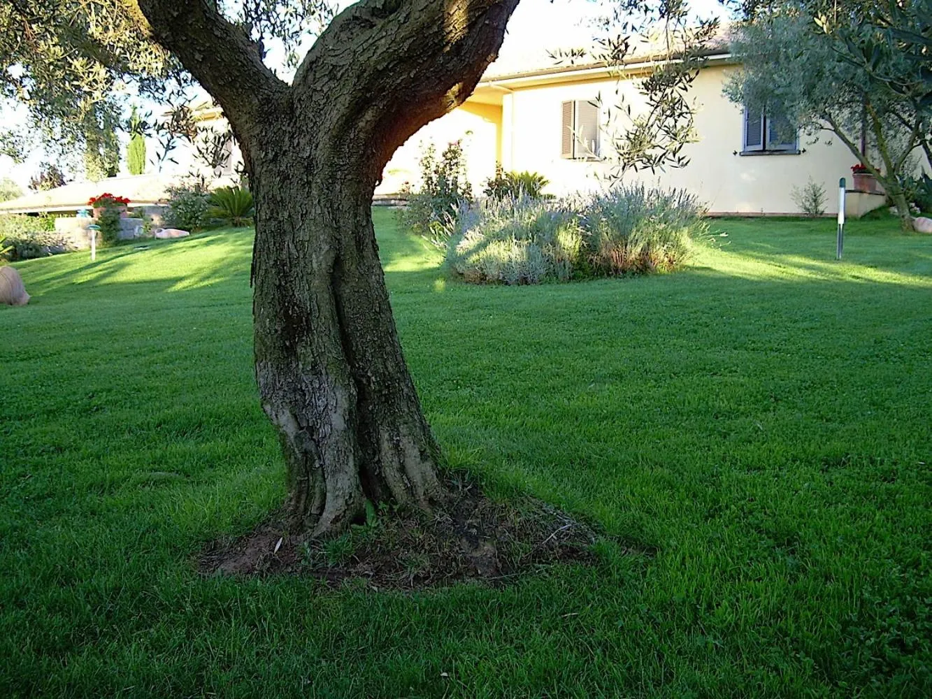 Bed and breakfast Ellera Viterbo