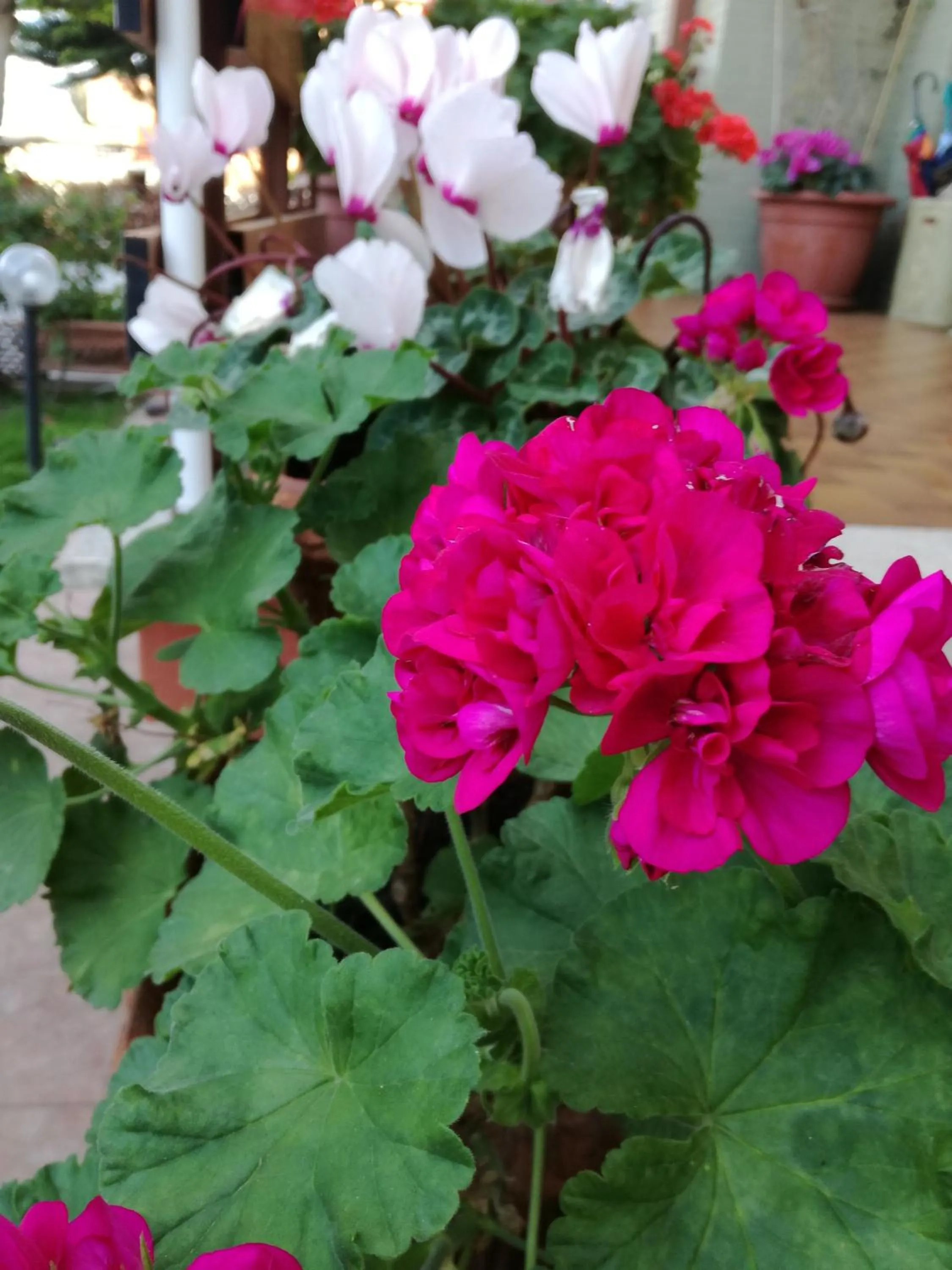 Floor plan in B&B Domus Gratiae