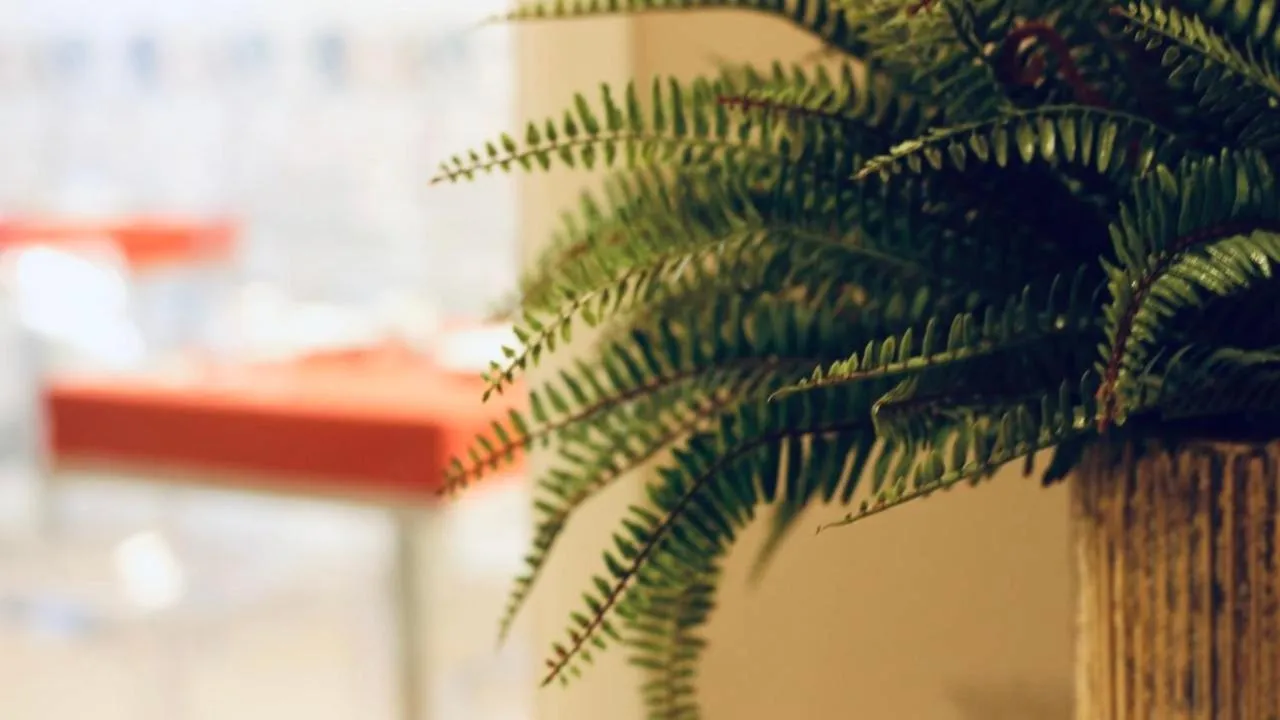 Breakfast in Les Suites Bari Italian Excellence Bed and Breakfast