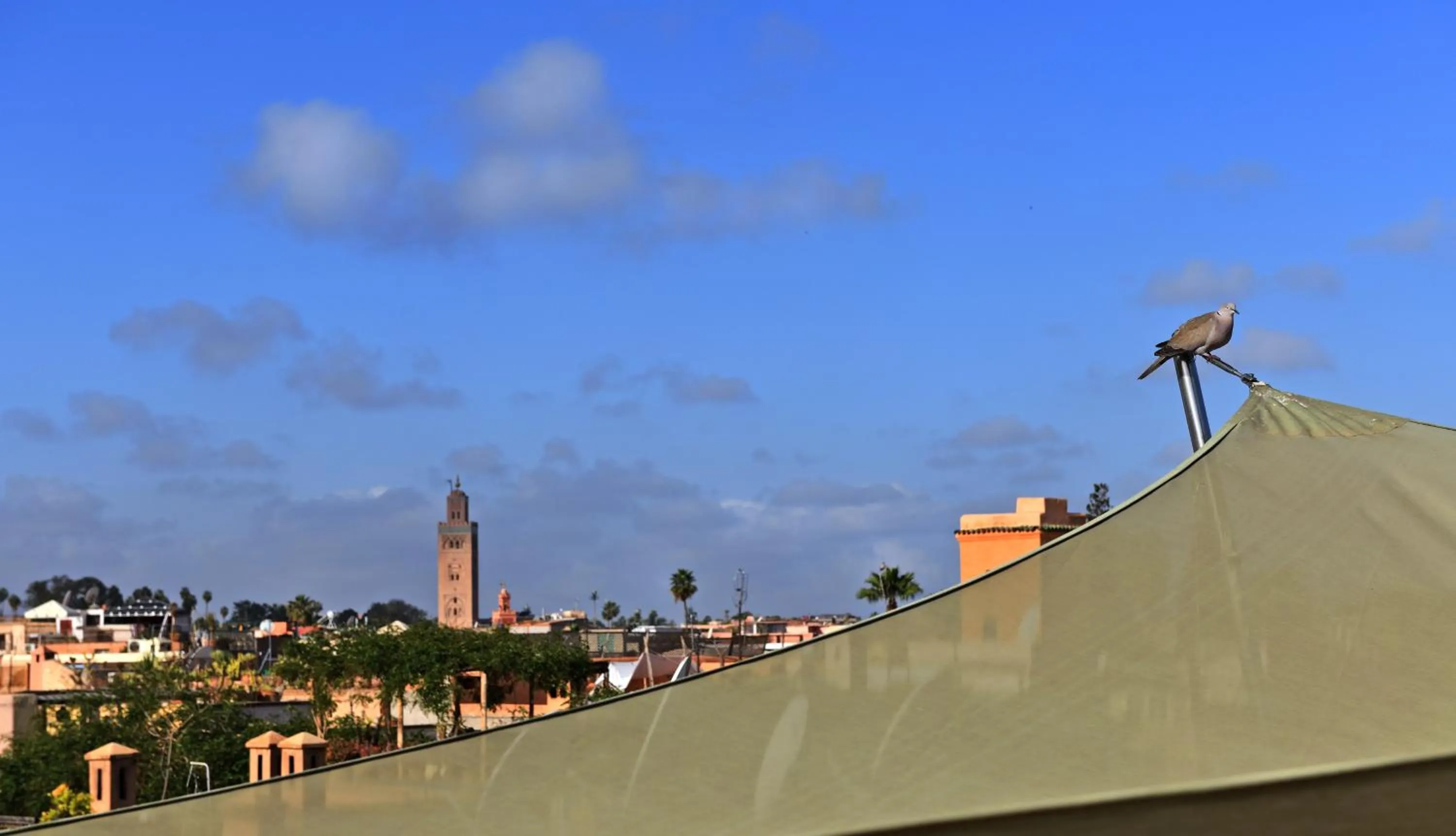City view in Riad L'Aziza