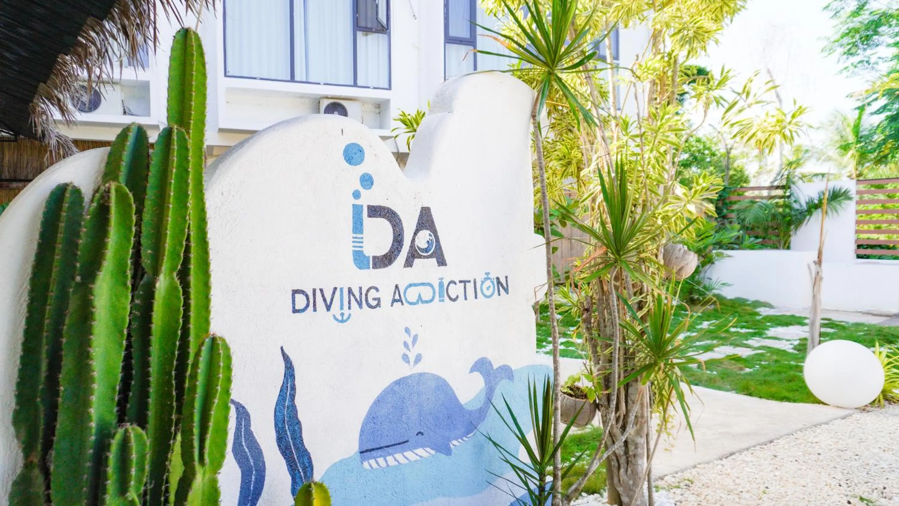 Diving in Diving Addiction Resort