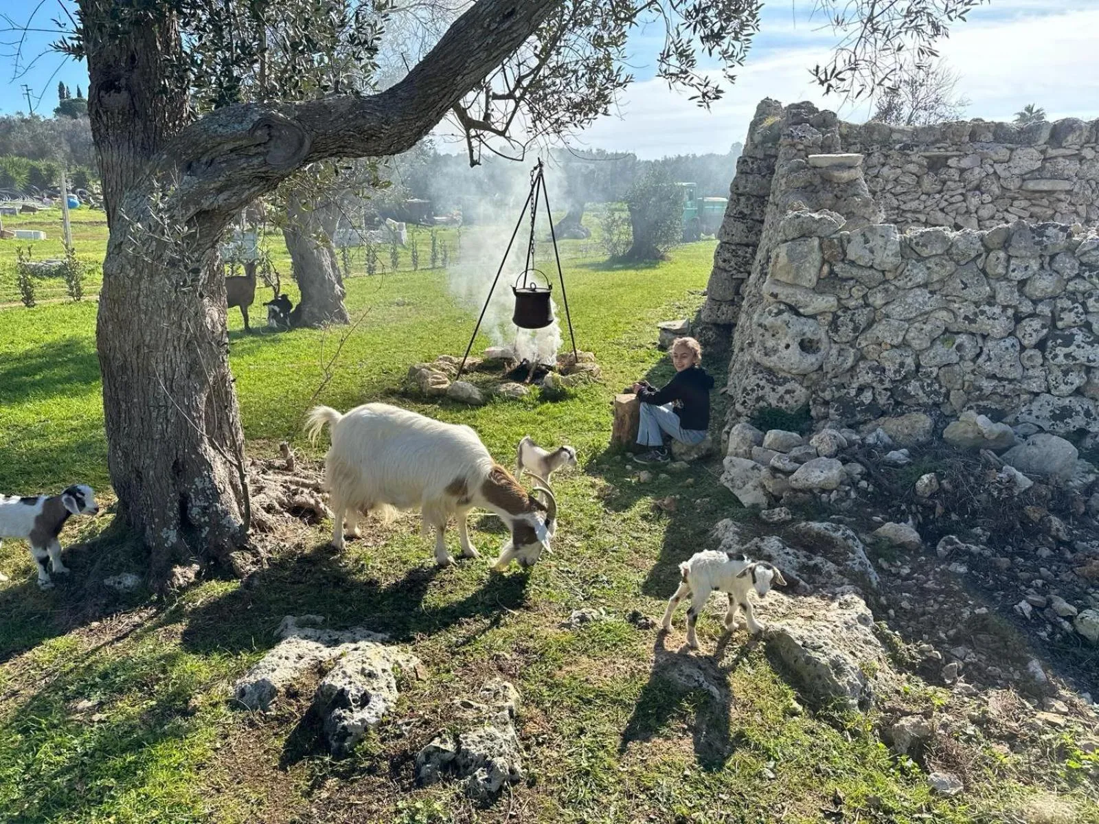 Garden in Tenuta Cursano
