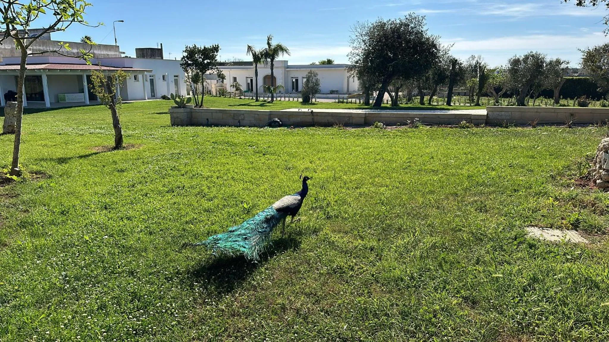 Garden in Tenuta Cursano