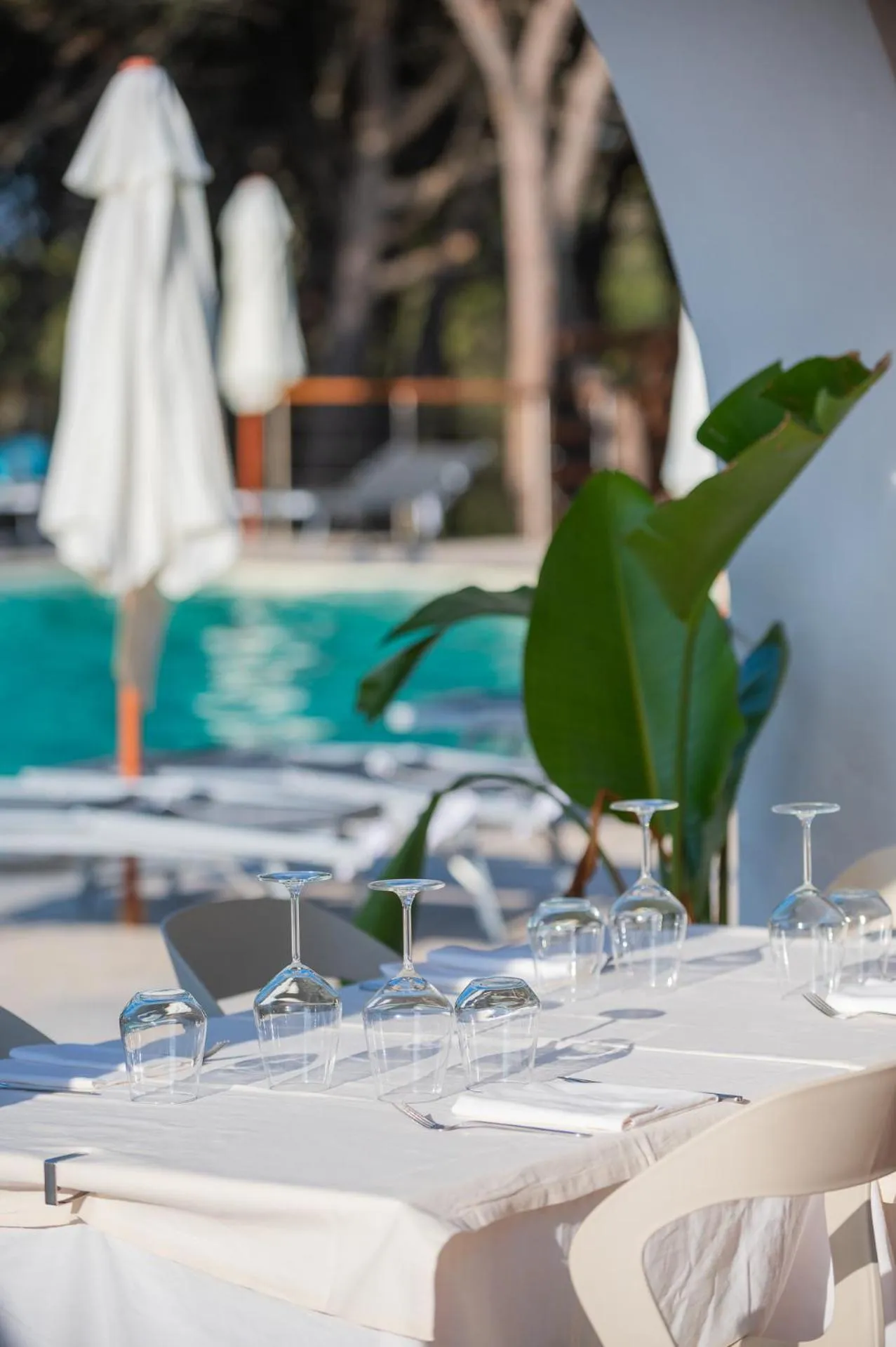 Pool view in Q Resort