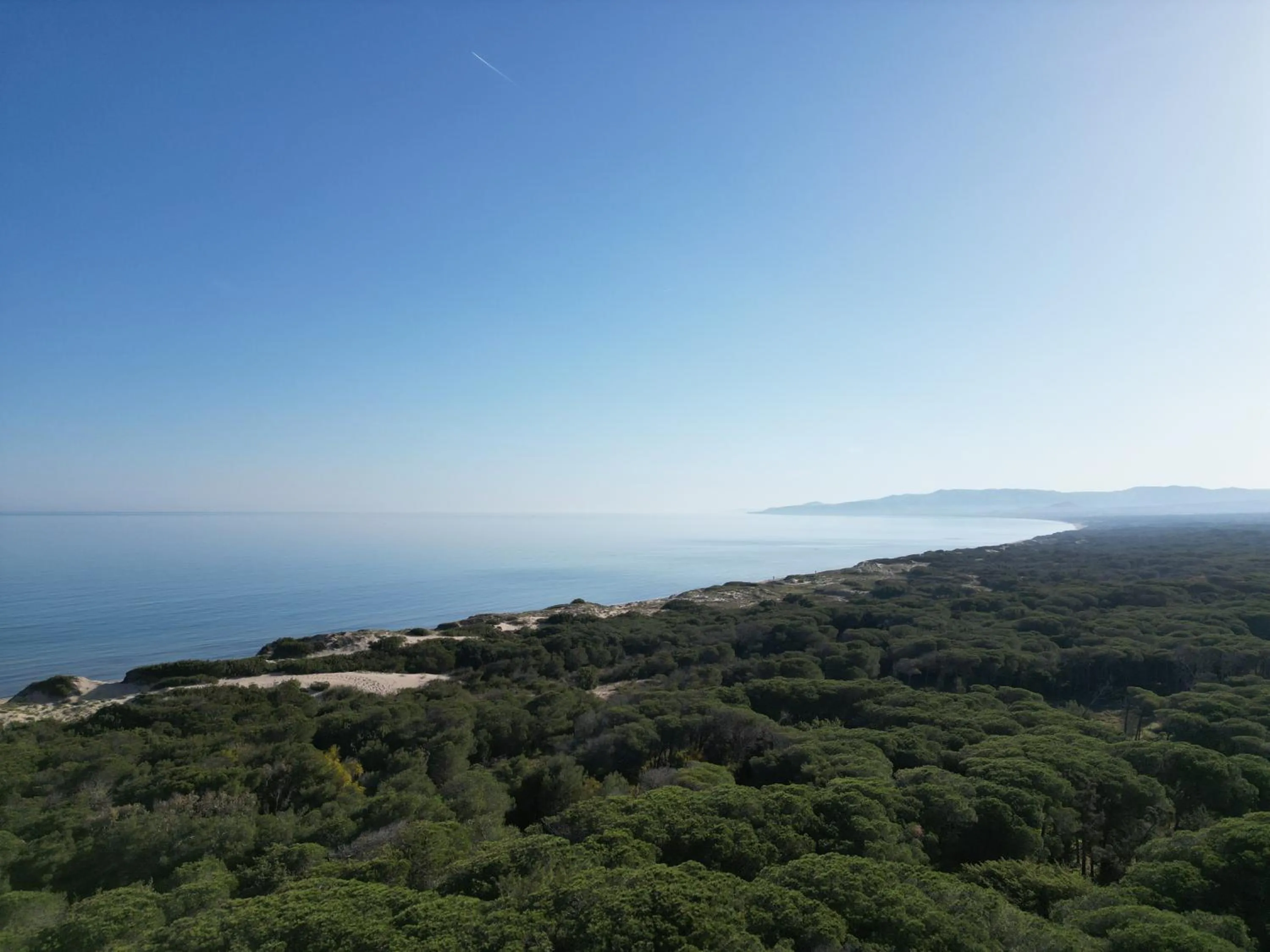 Sea view in Q Resort