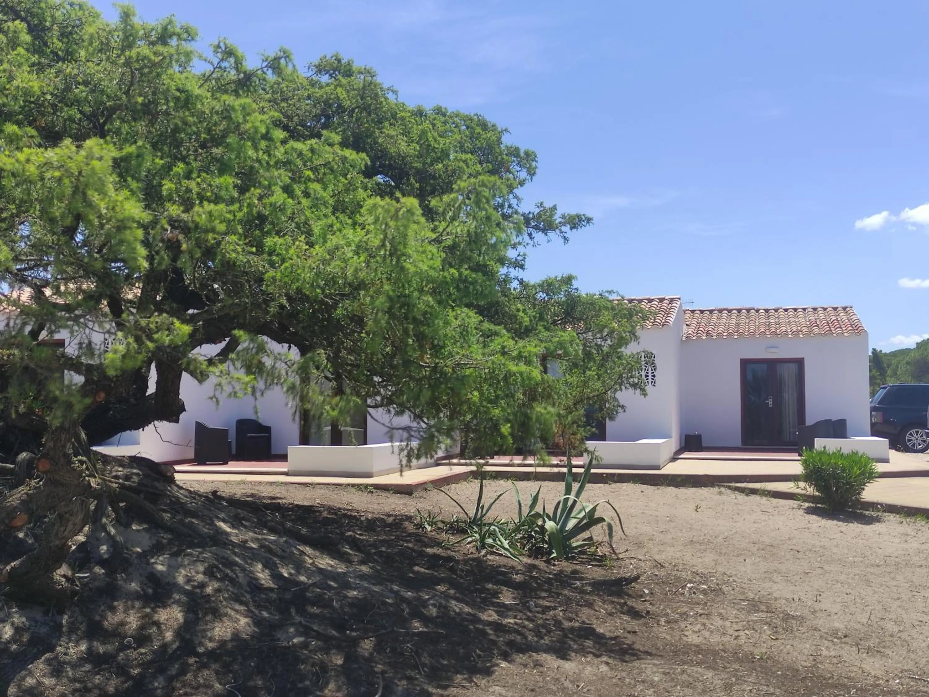 Garden view in Q Resort