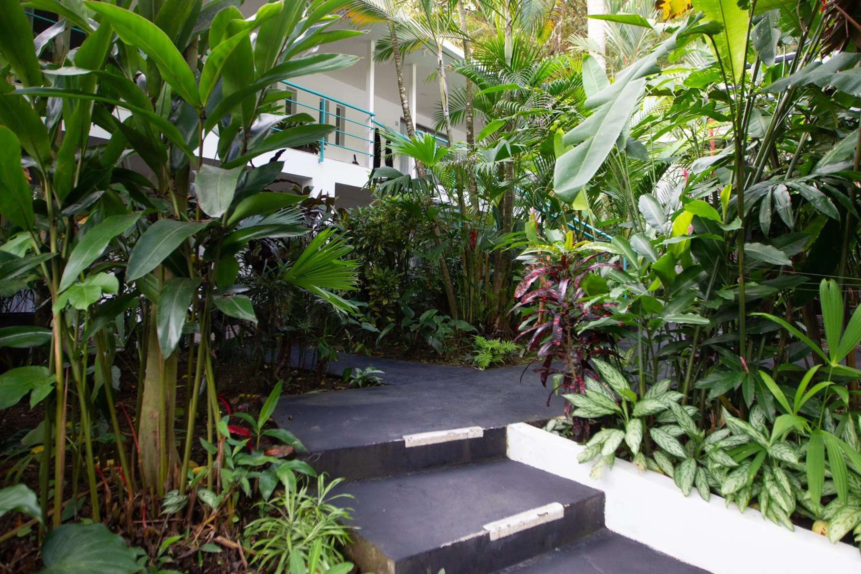 Garden in La Vela Boutique Hotel