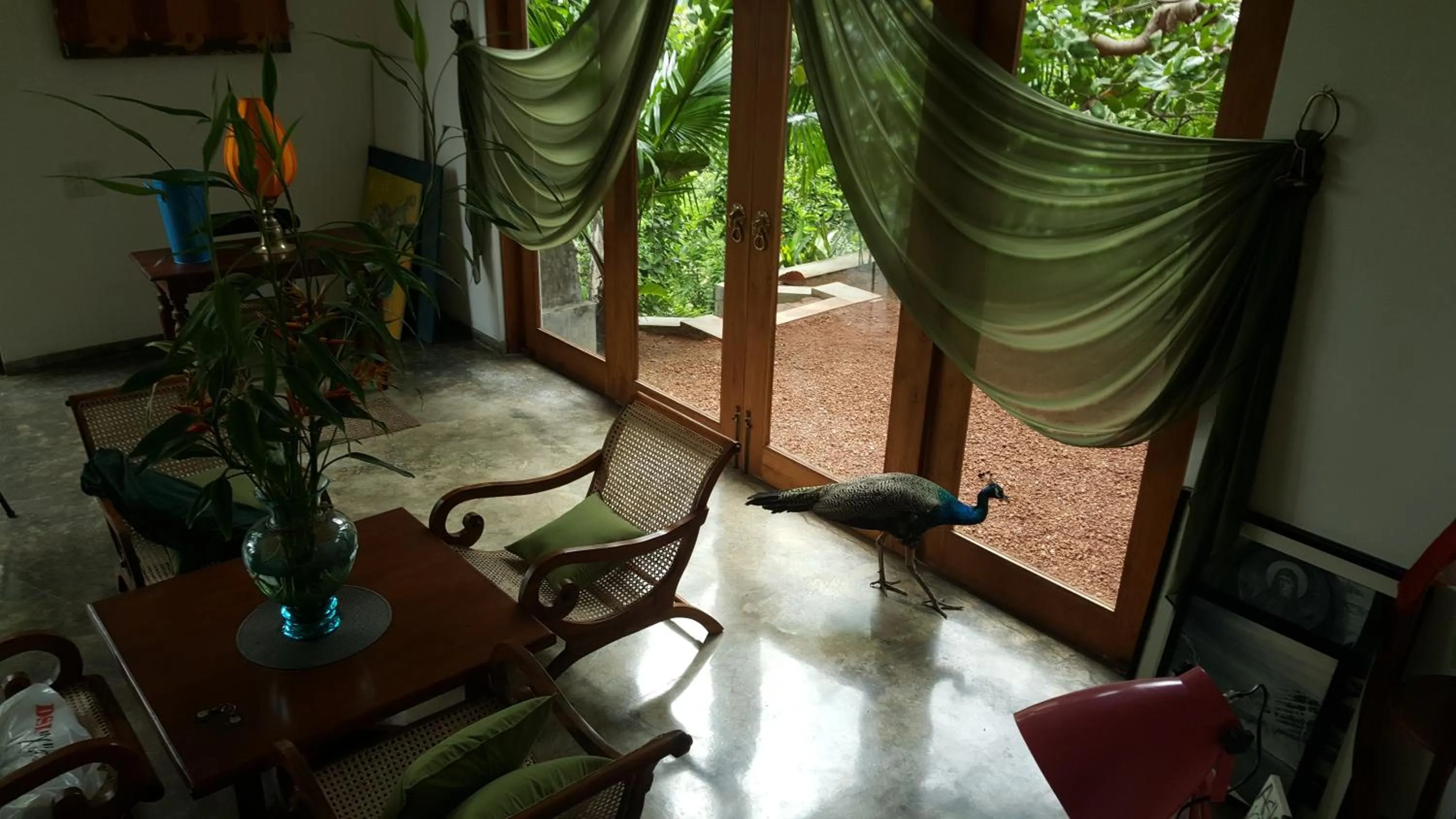 Day in Highland Villa