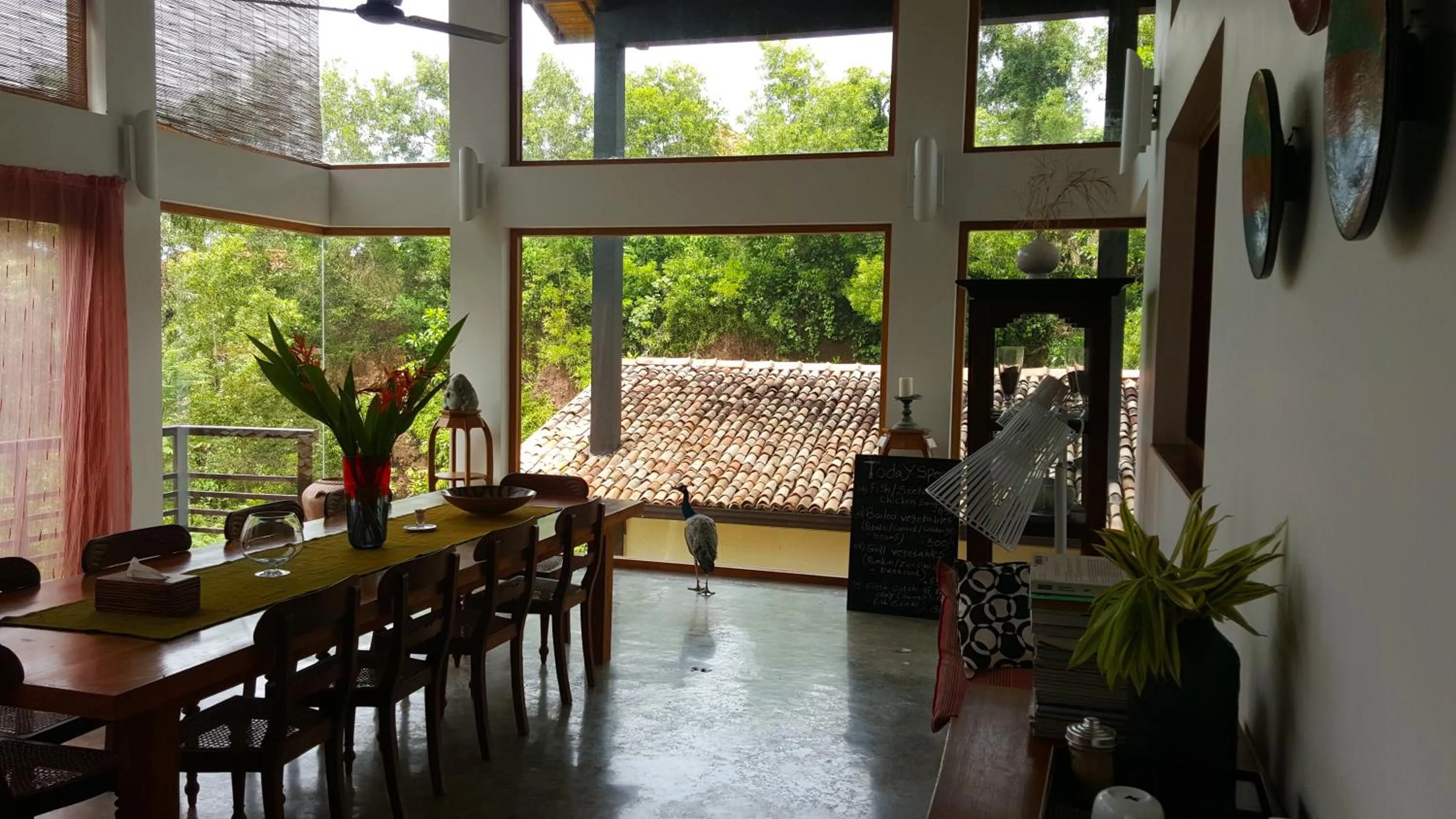 Day in Highland Villa