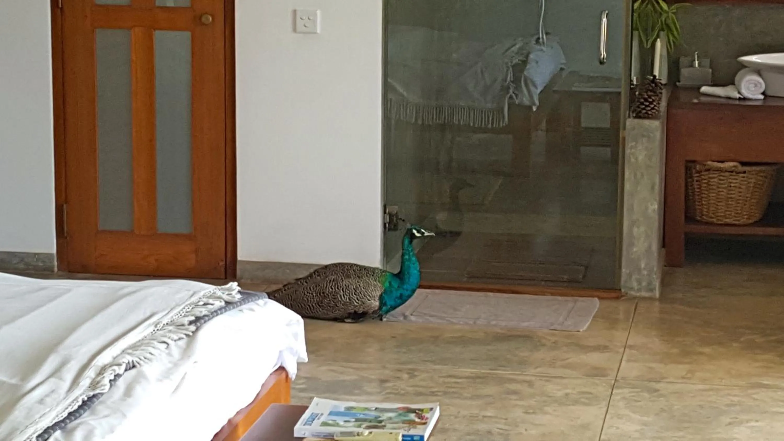 Animals, Bed in Highland Villa