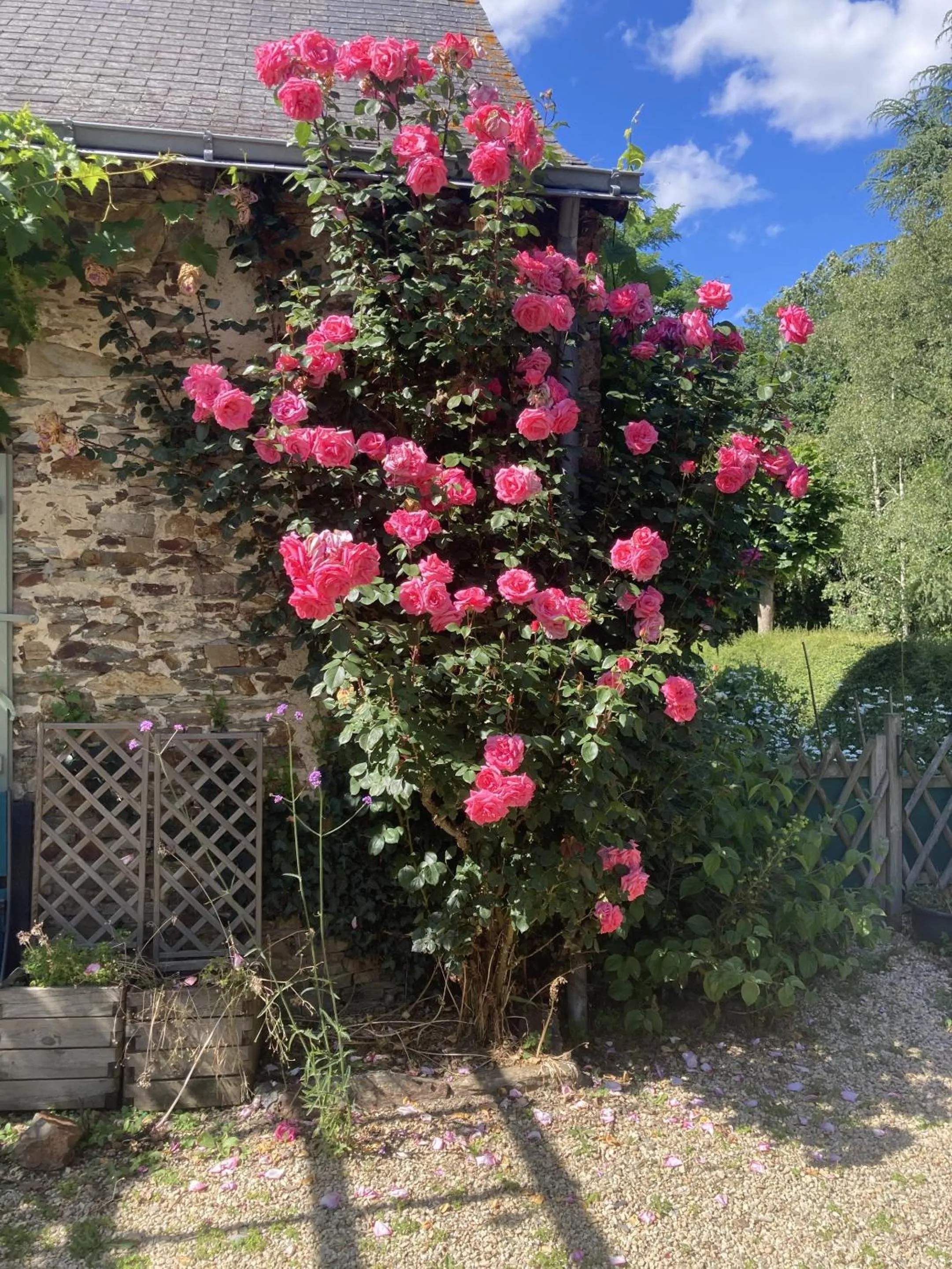 Other in Chambres d'Hotes - La Marmoire
