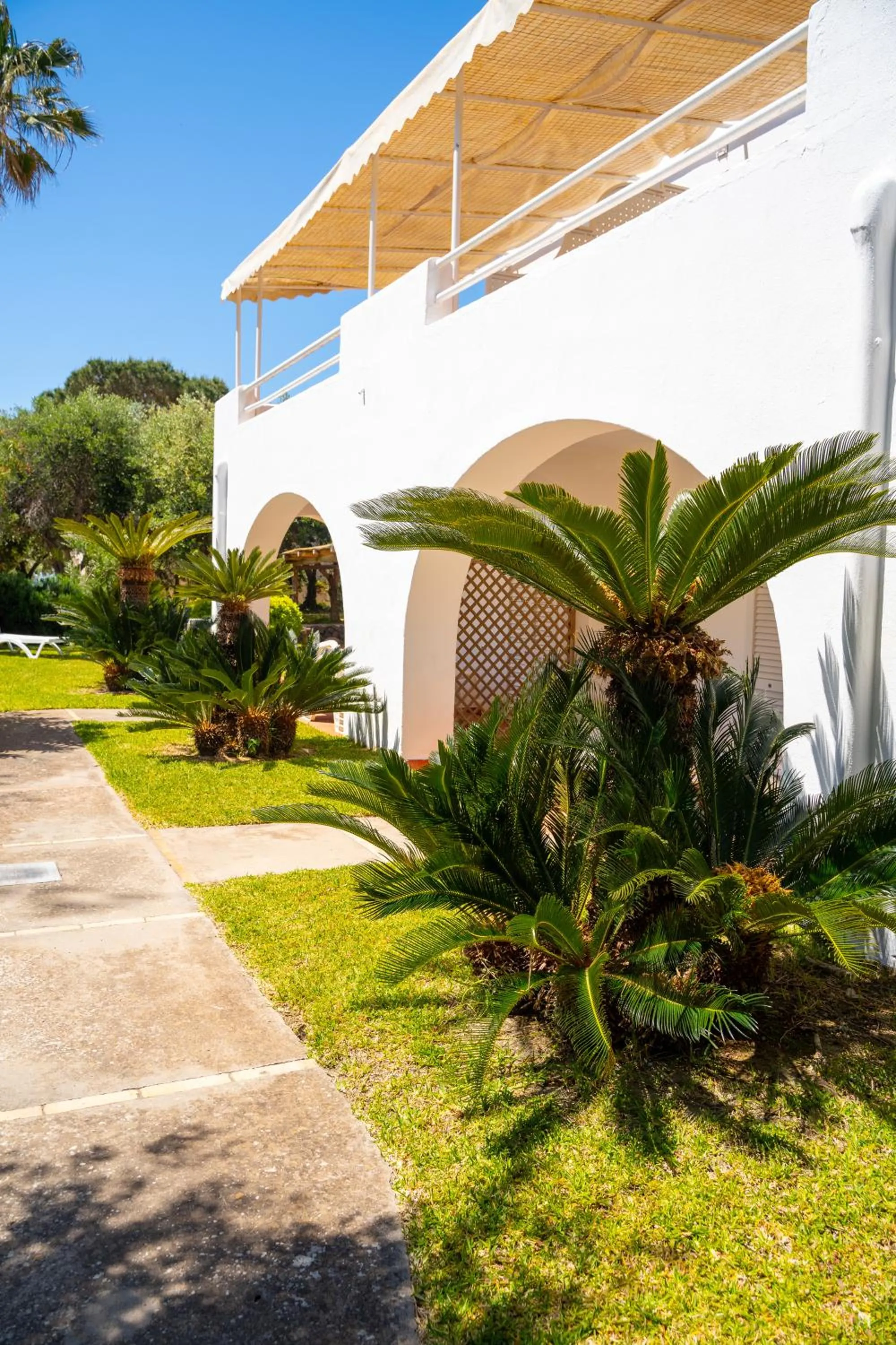 Property building in Residence Palummera