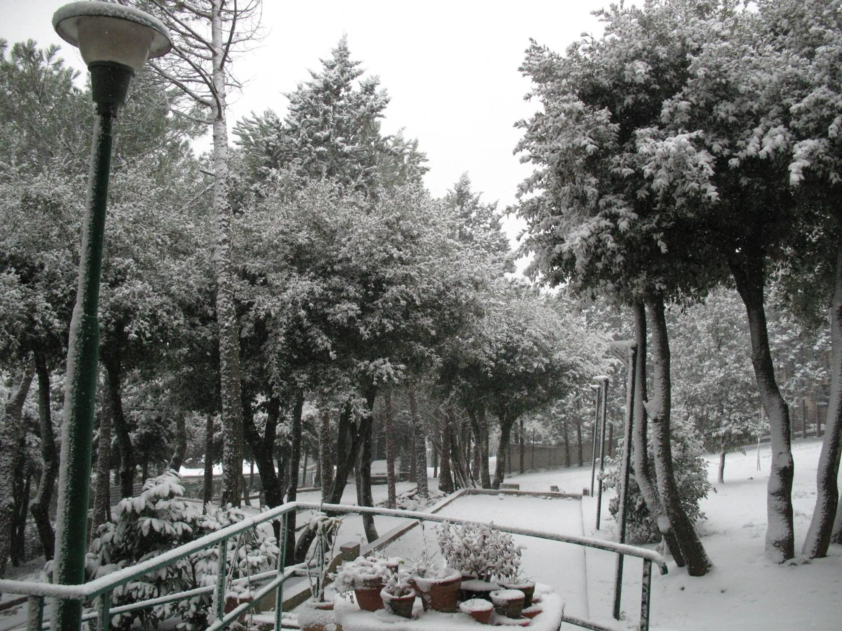Garden in B&B La Principessa