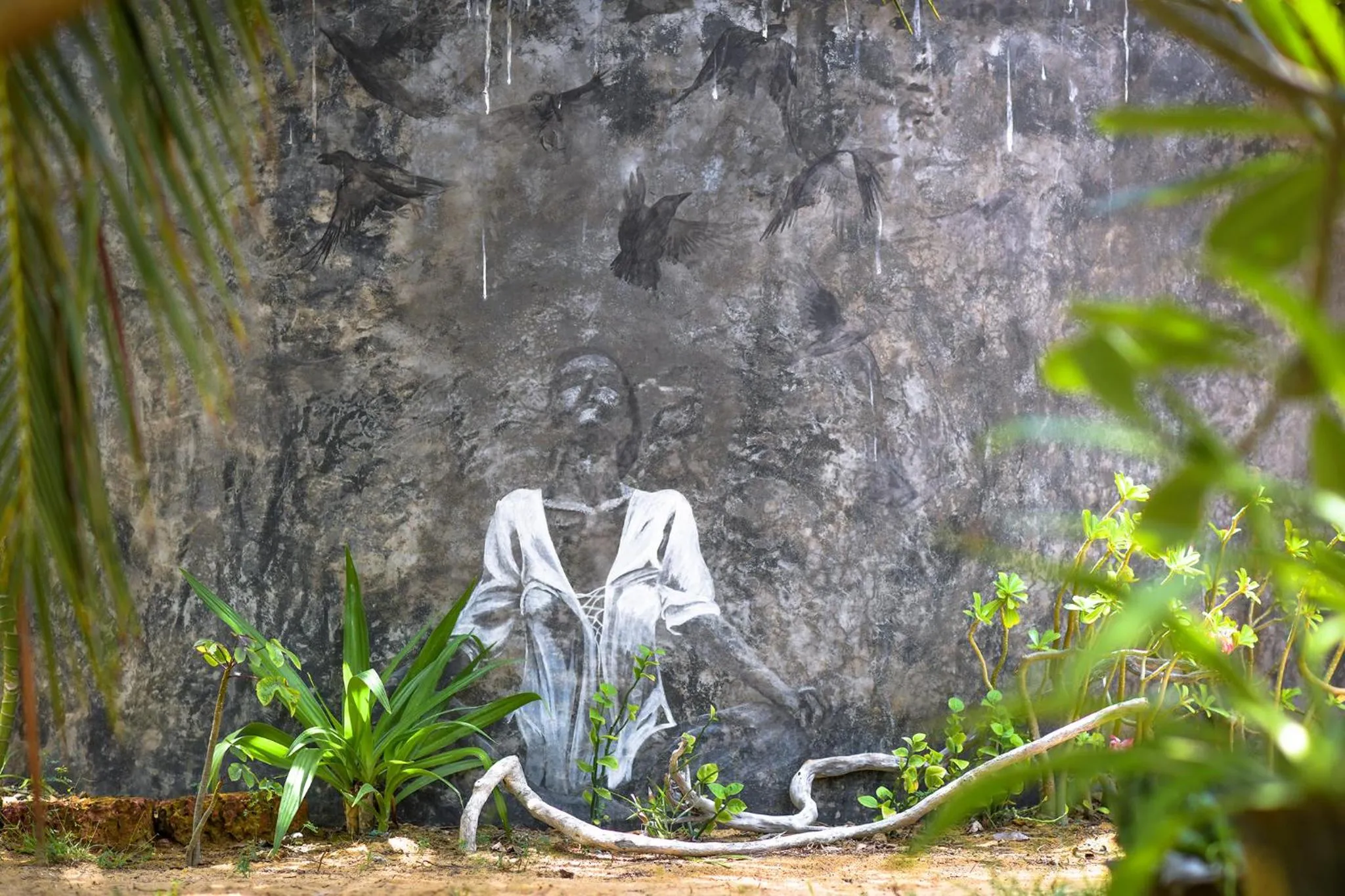 Garden in Kitesurfing Lanka