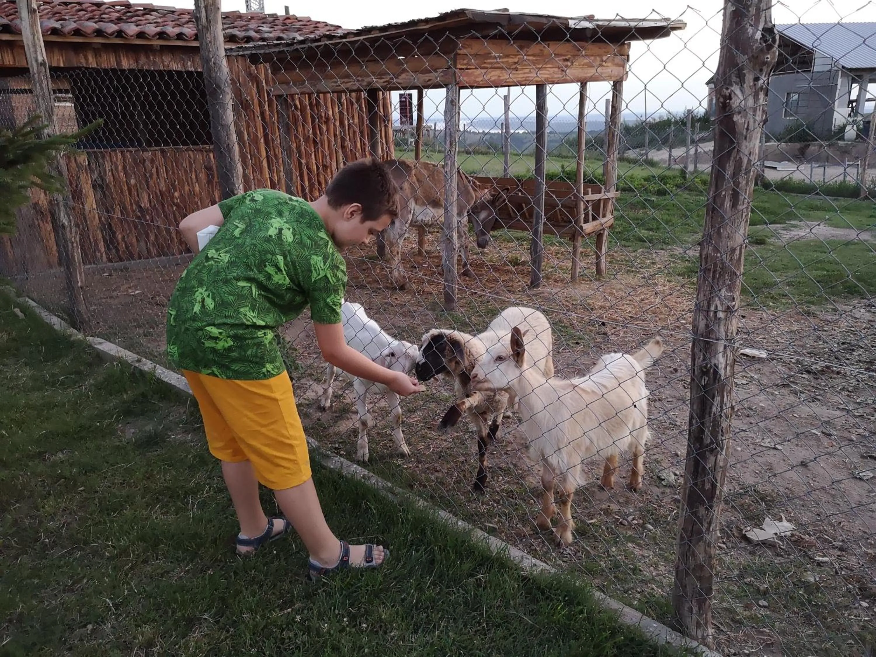 Animals in Seven Generations Winery Hotel