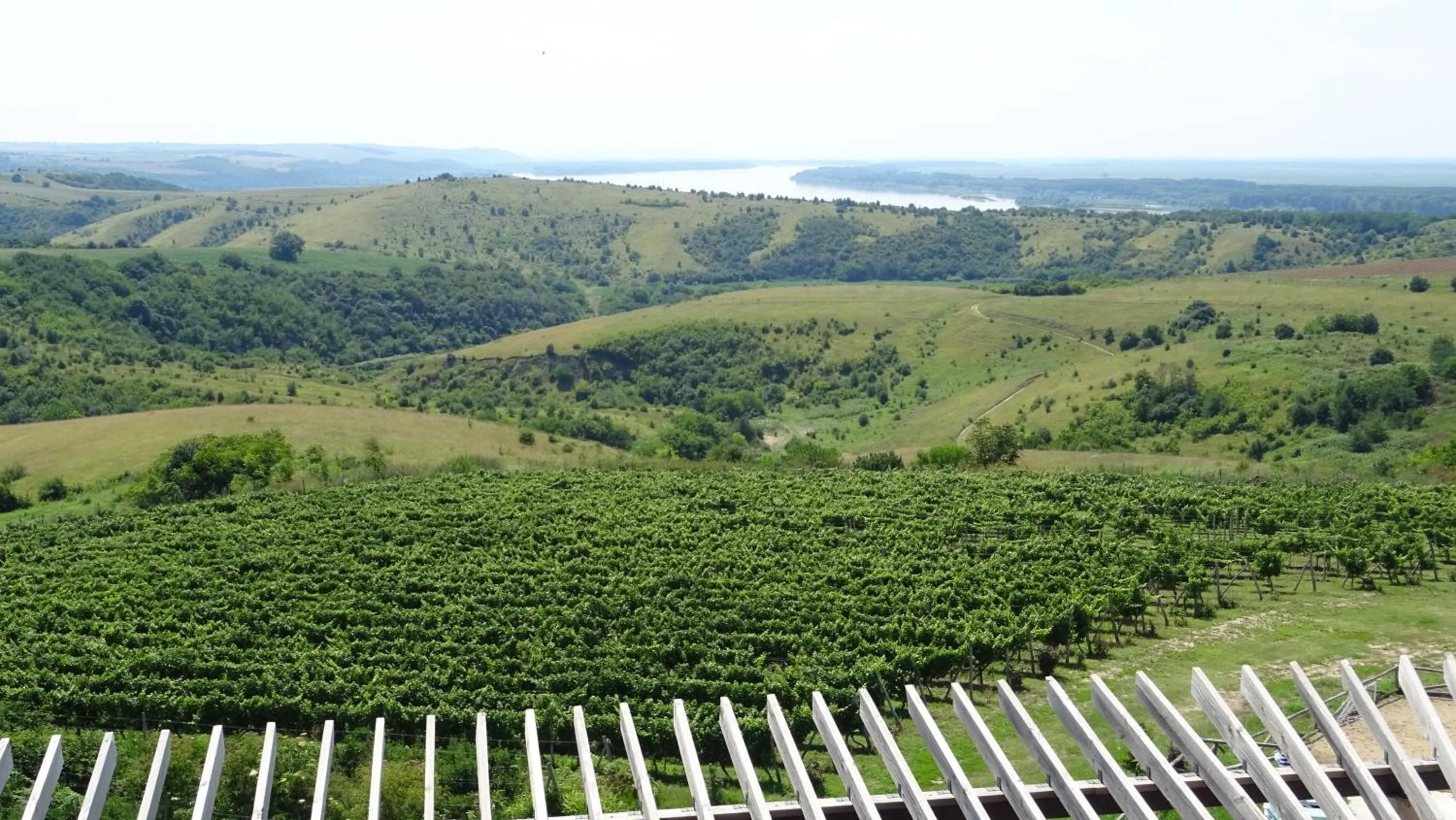 River view in Seven Generations Winery Hotel