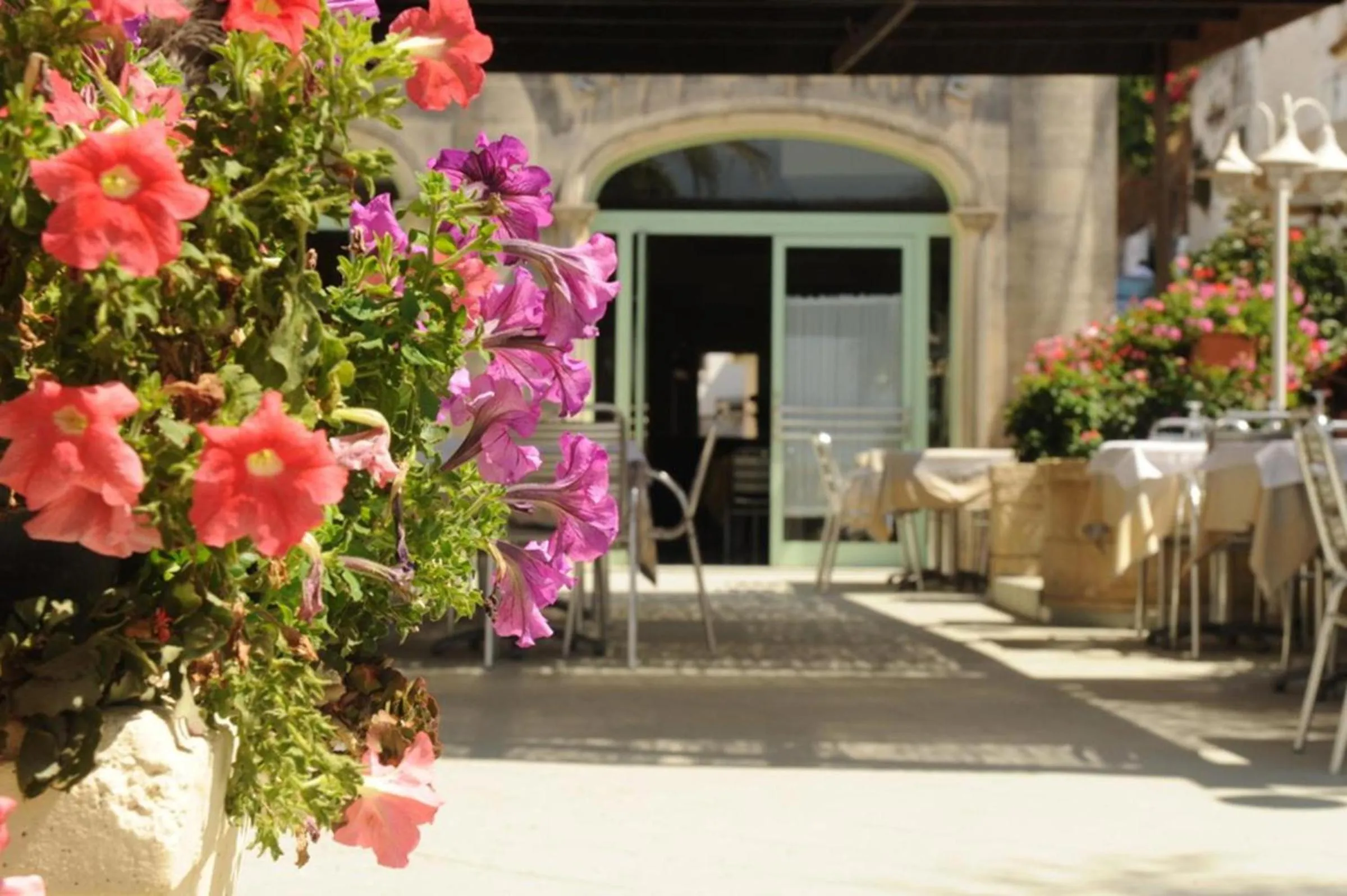 Patio in Hotel Euromare