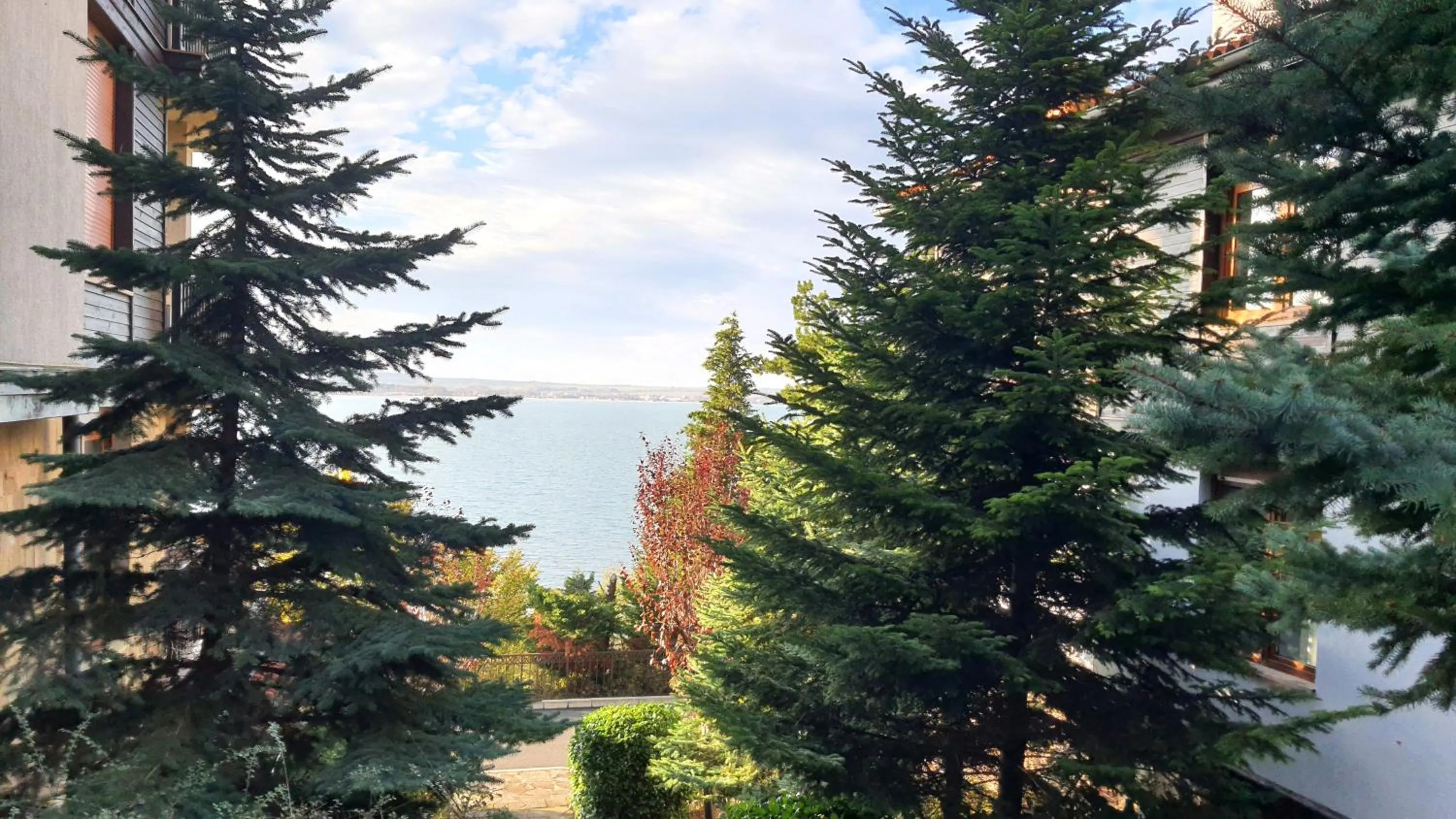 Garden in Santa Marina Holiday Village - Blue Magic