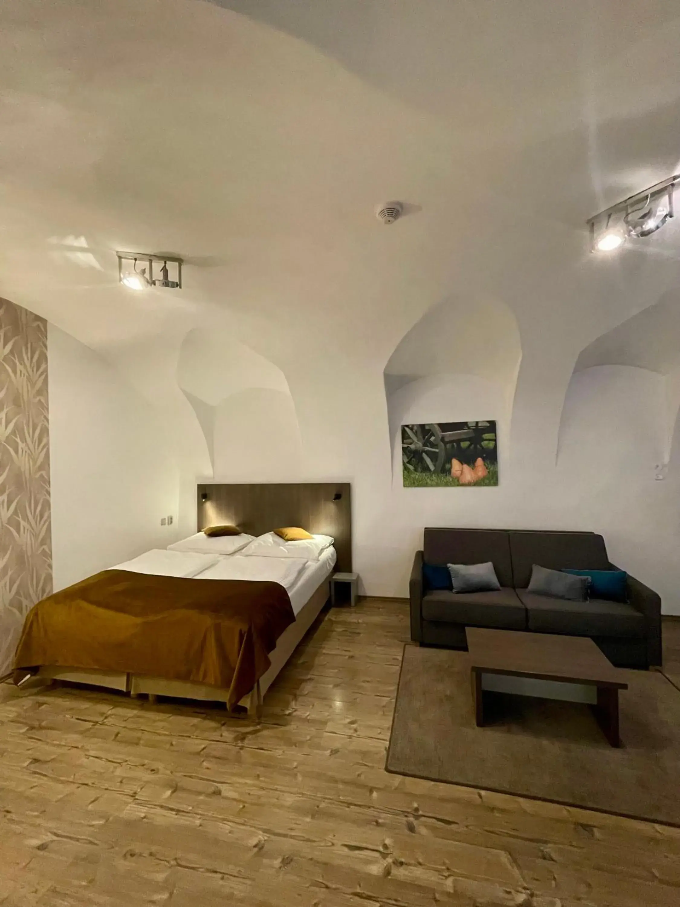 Studio Apartment in Hotel U Tří hrušek suites & apartments Studio Apartment in Hotel U Tří hrušek suites & apartments