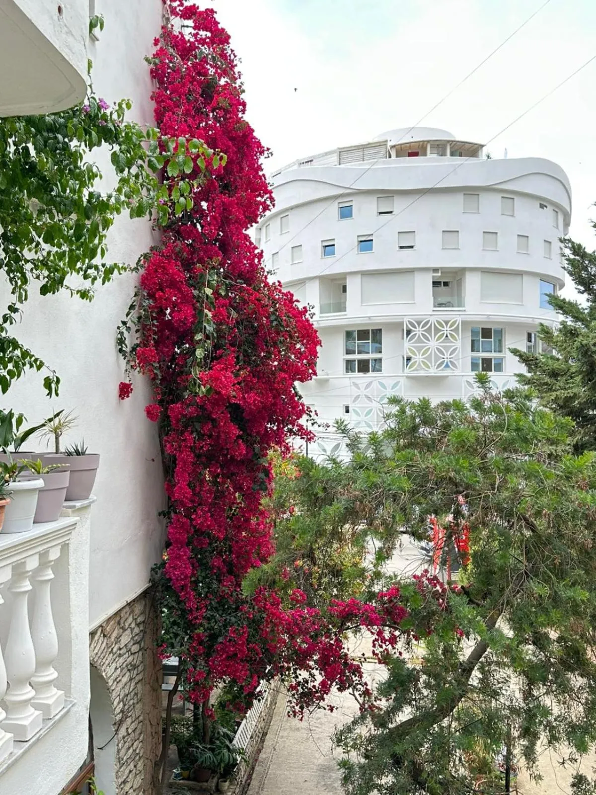 View (from property/room) in Hotel Rixhi