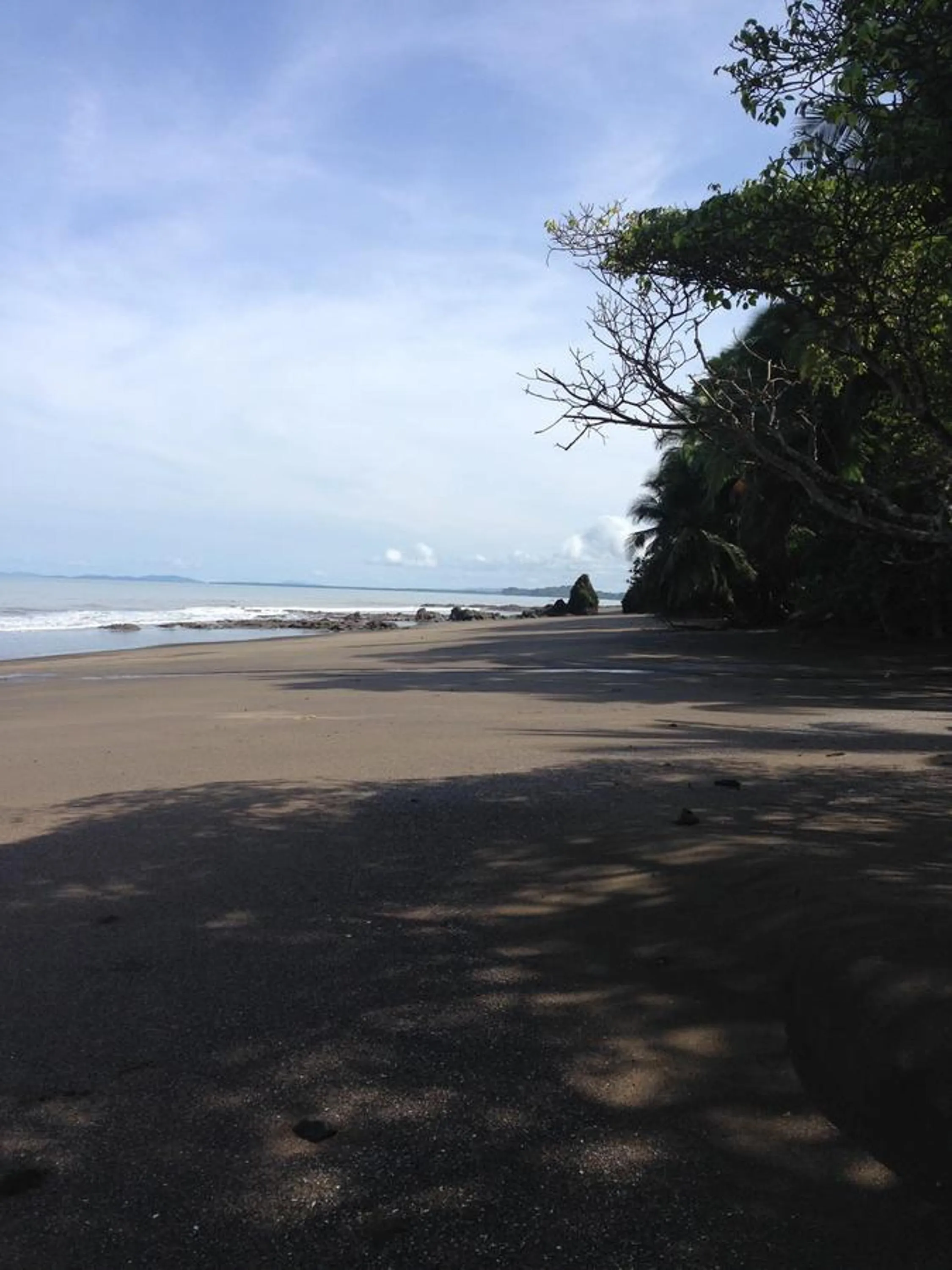 Beach in Camino del Sol