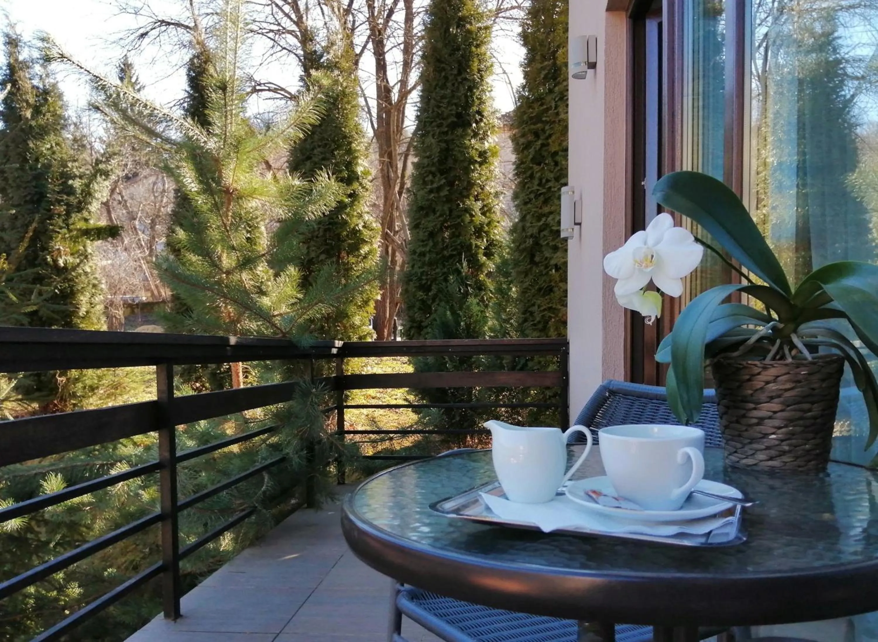 Garden view in GreenHill Brasov