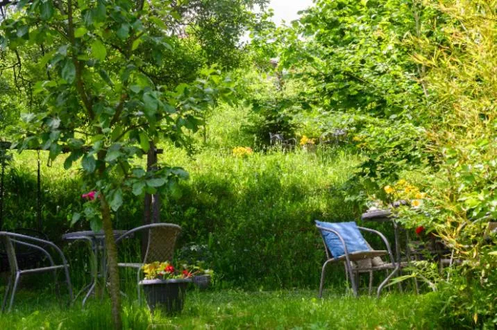 Spring in GreenHill Brasov