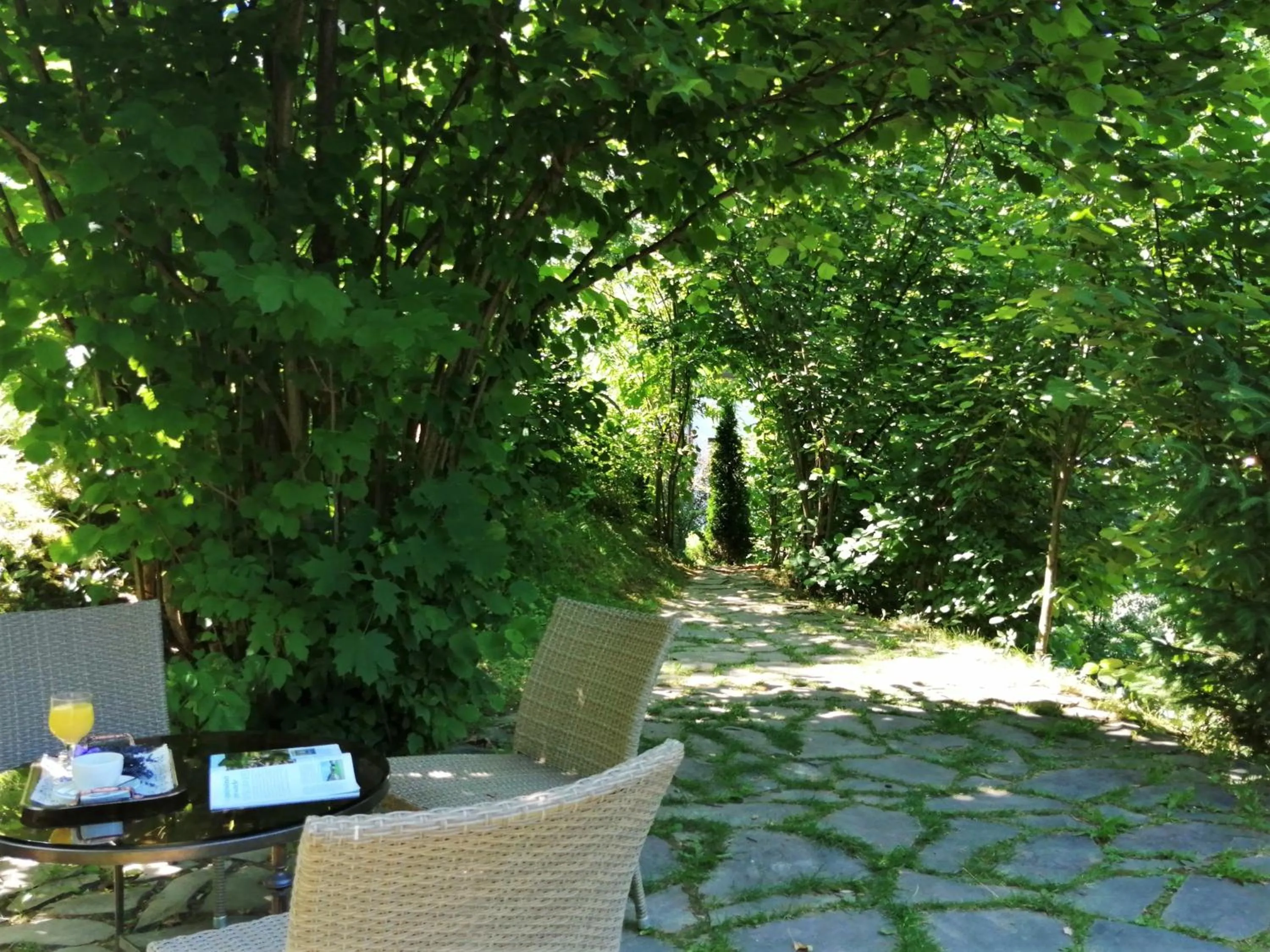 Garden in GreenHill Brasov