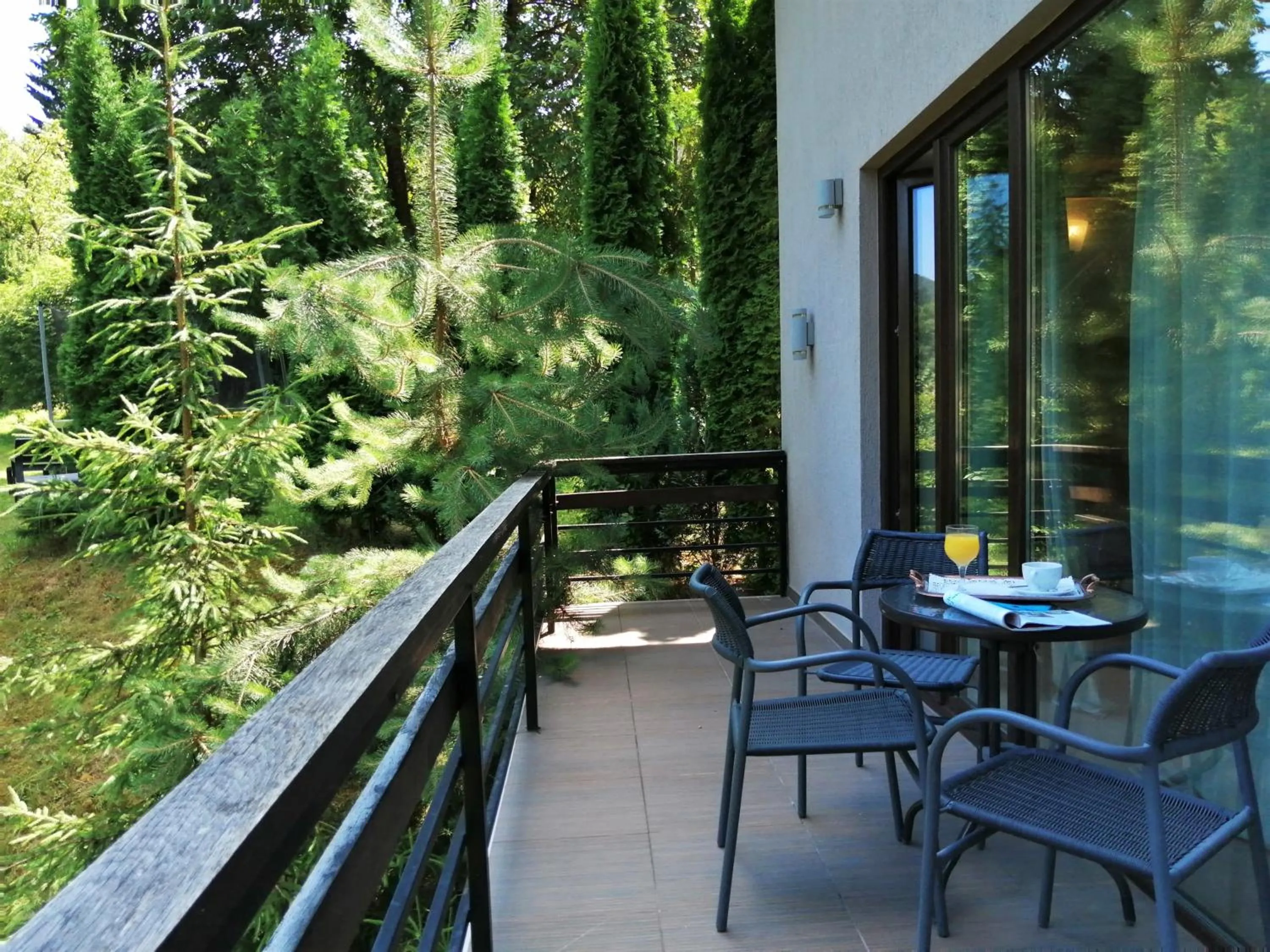Balcony/Terrace in GreenHill Brasov