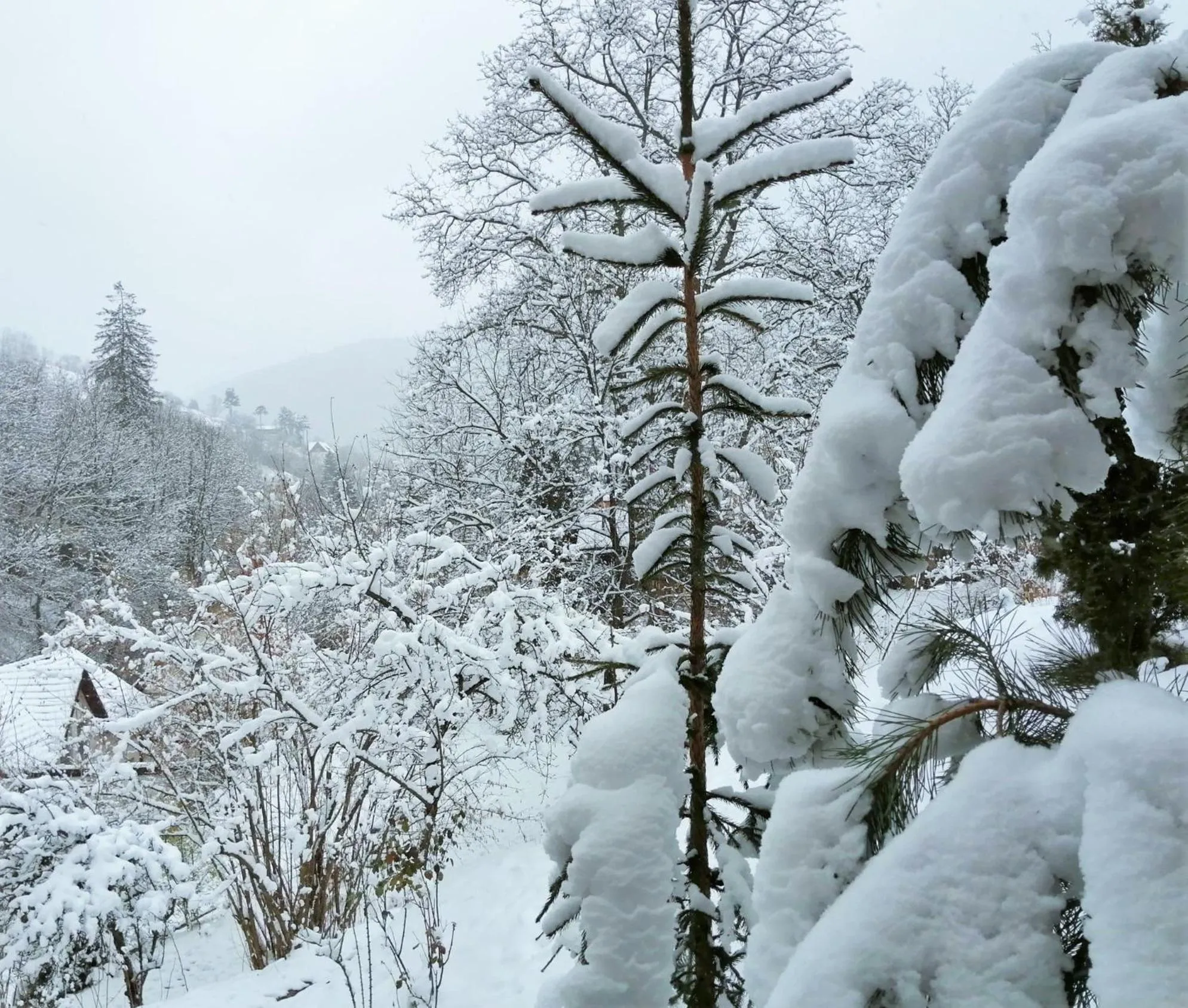 Winter in GreenHill Brasov