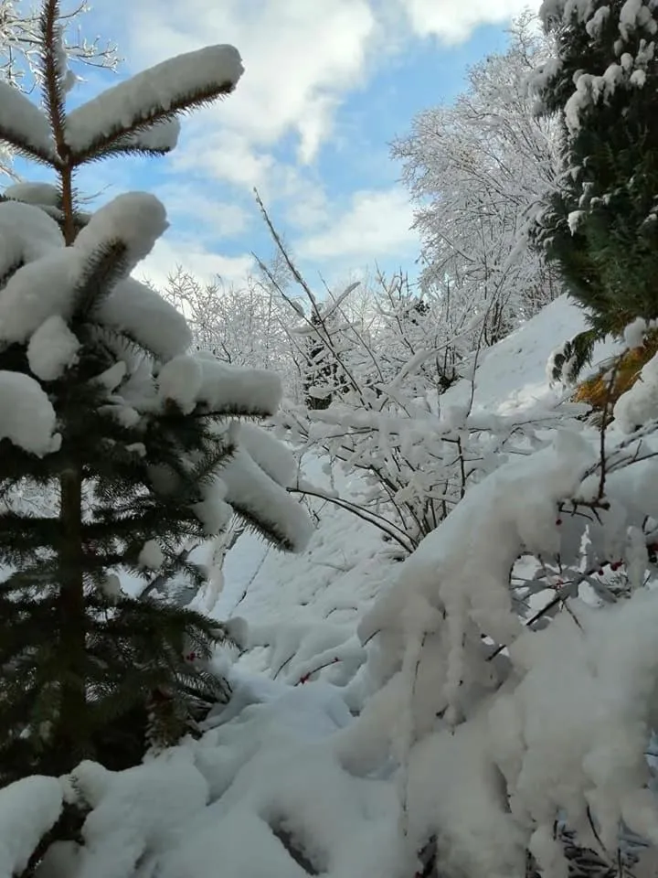 Winter in GreenHill Brasov