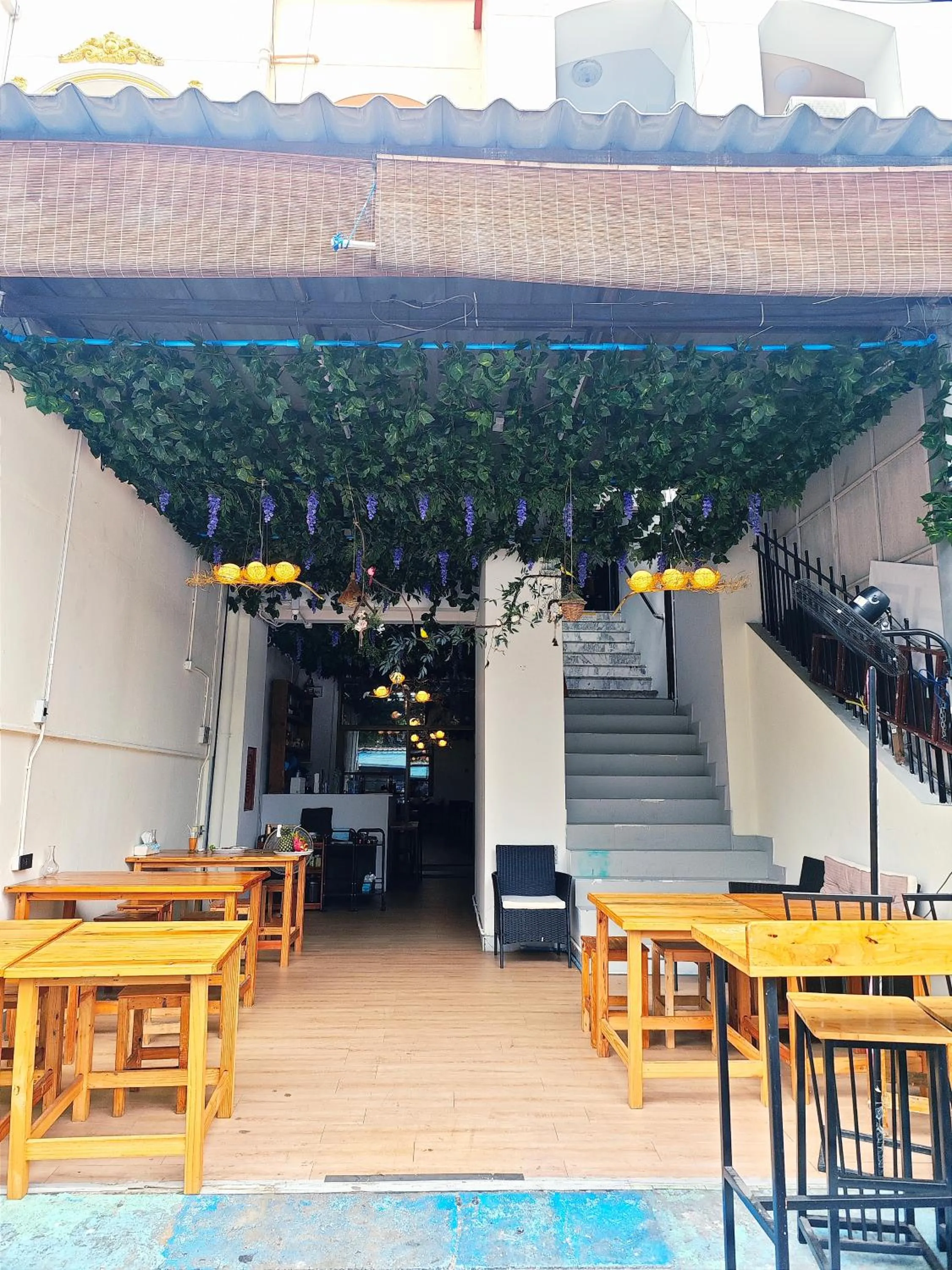 Panda Lodge Home Stay