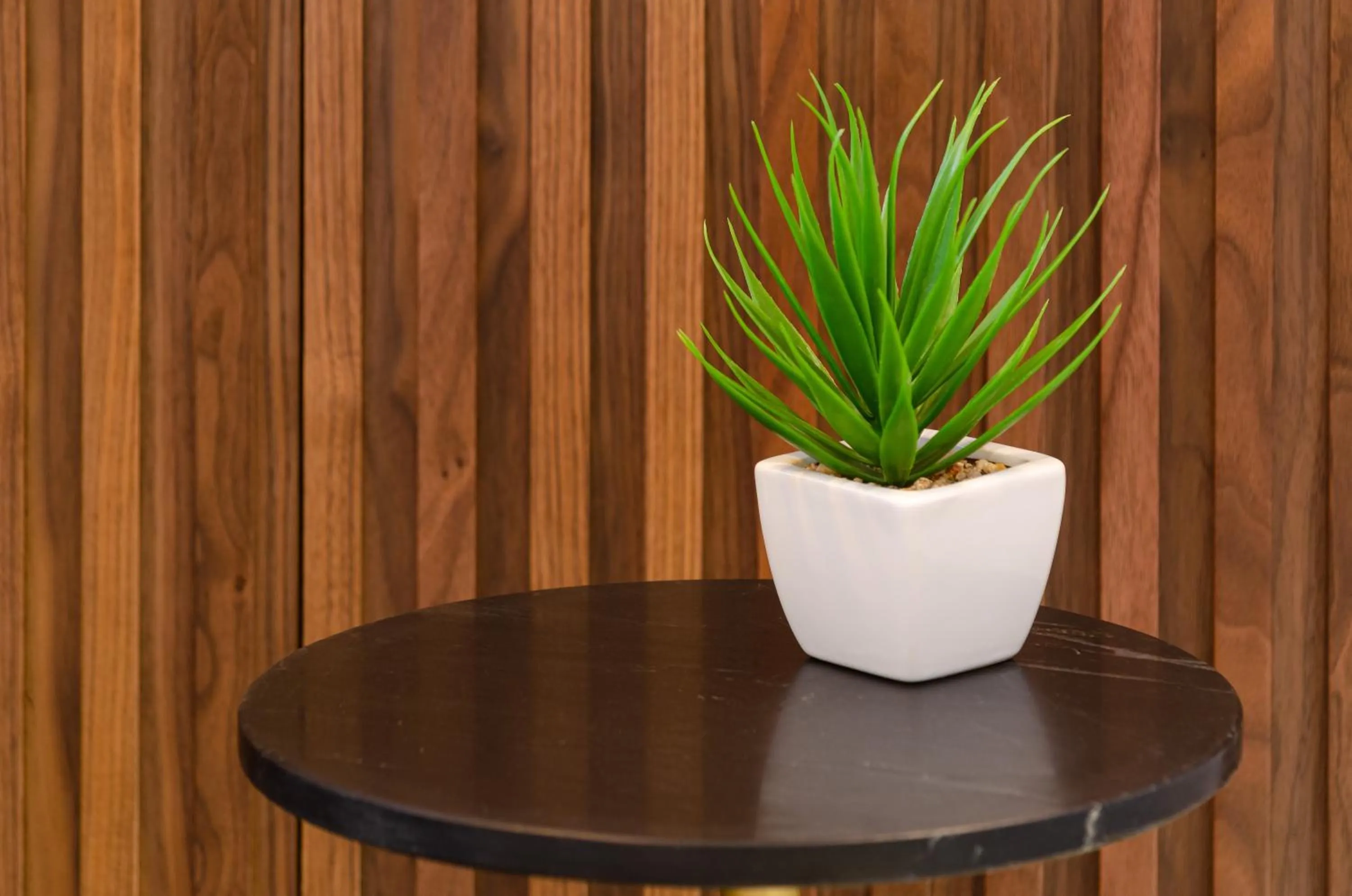 Decorative detail in 2M BOUTIQUE HOTEL