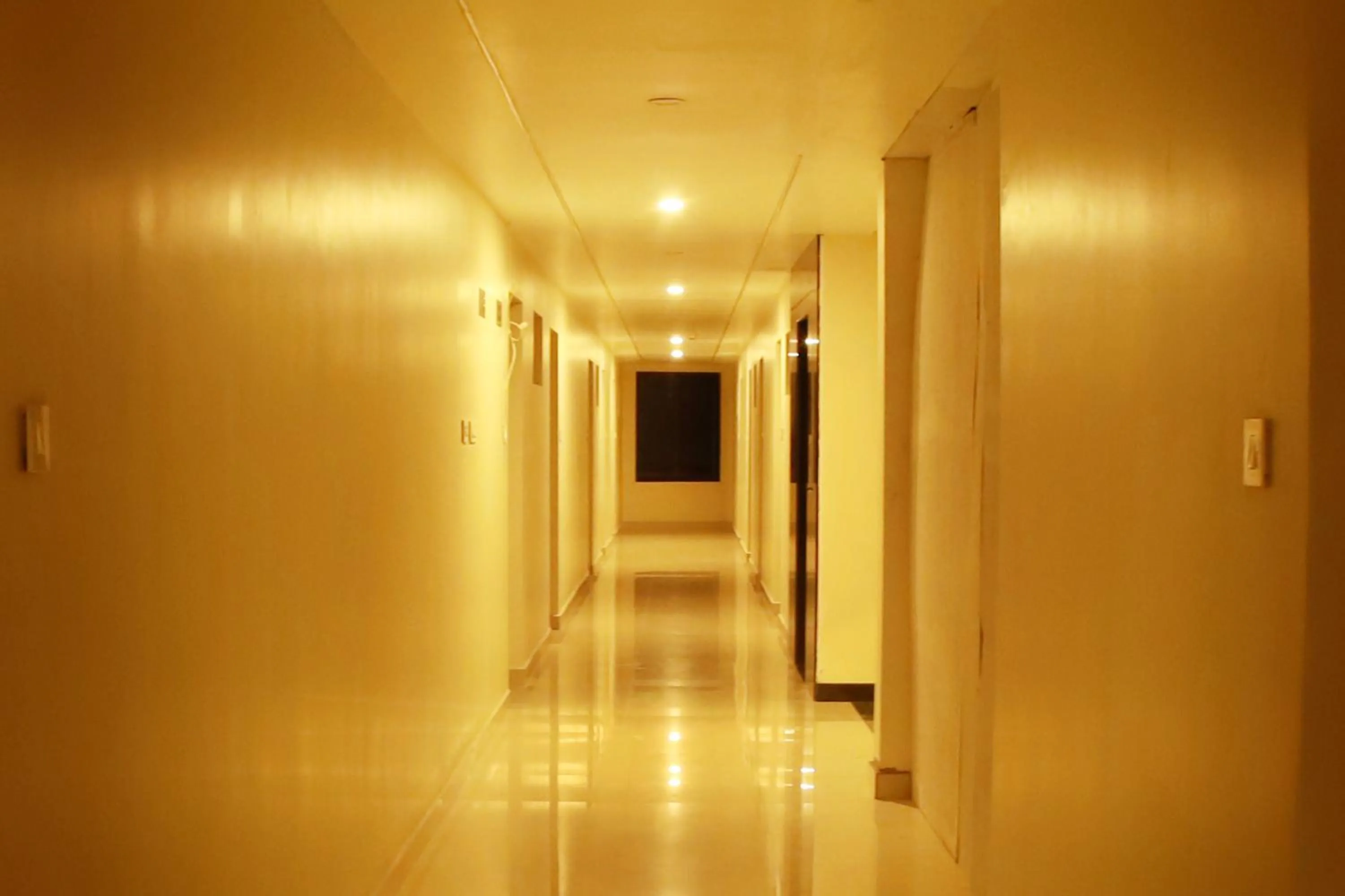 Area and facilities in Hotel Sri Devi