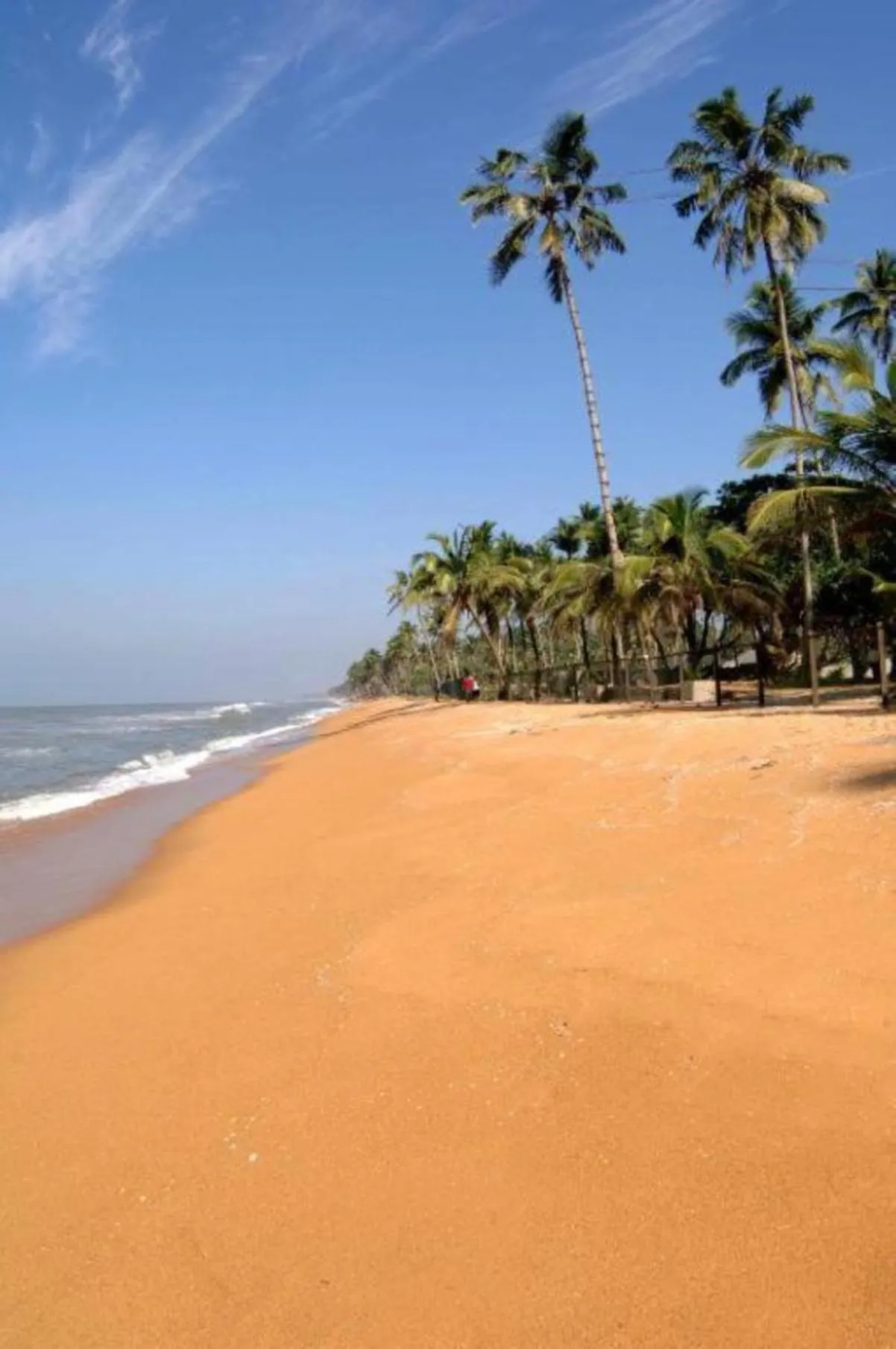 Hibiscus Beach Hotel & Villas