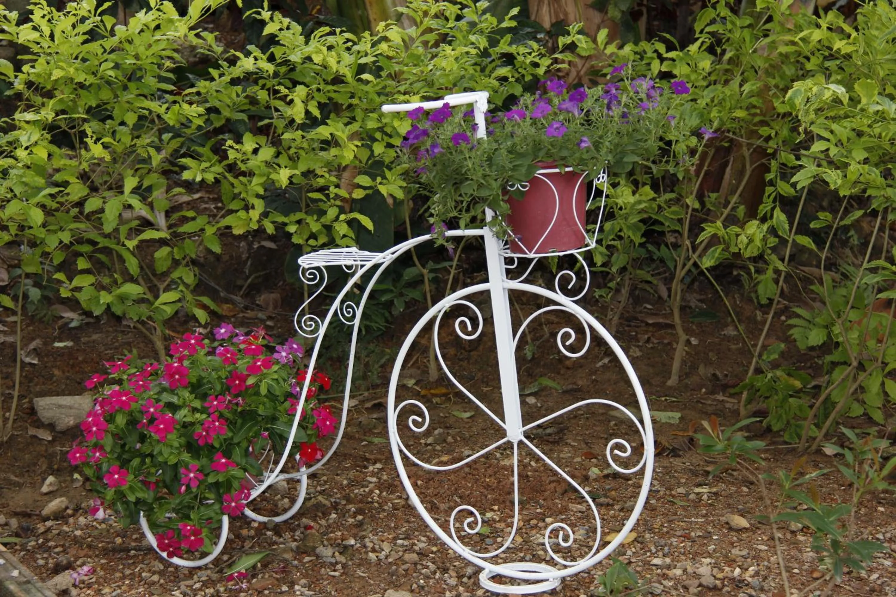 Garden in Fruit Tree Lodge