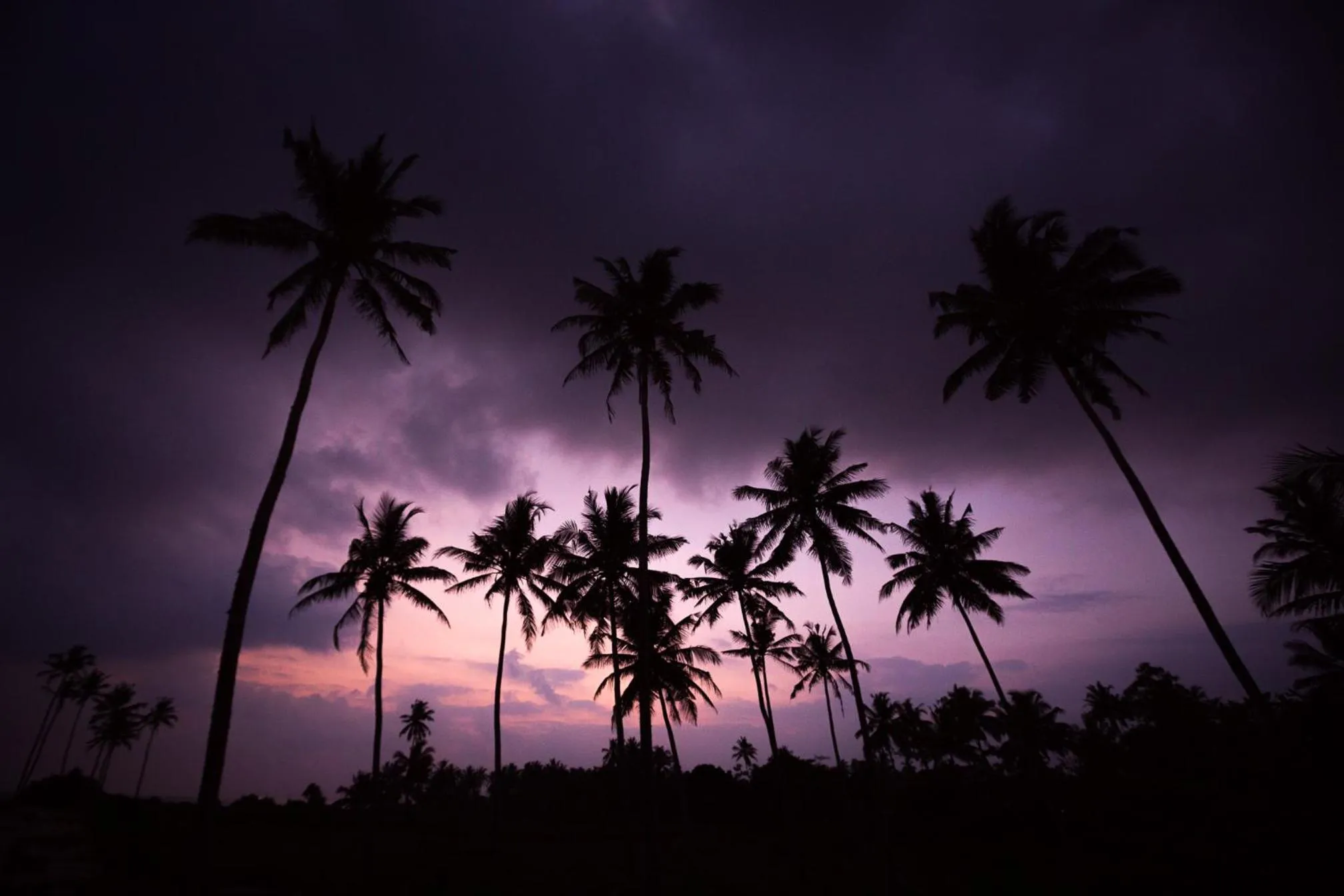 Day in Sri Sharavi Beach Villas & Spa - with 43 metre saltwater infinity pool